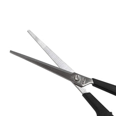 Close trim around eyes, mouth, ears, and feet with Wahl scissors.