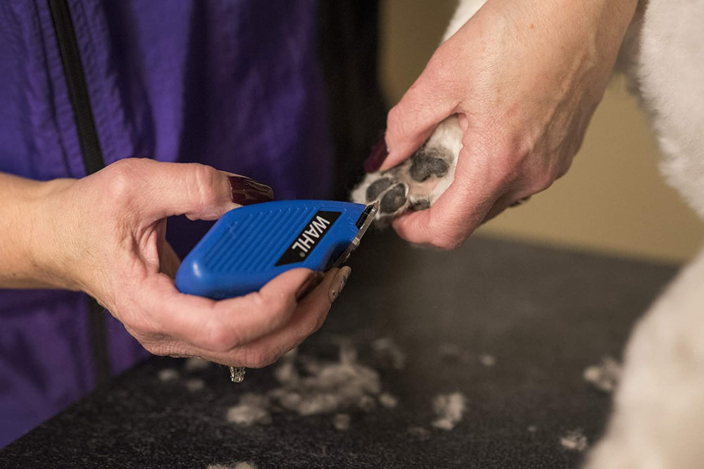 Wahl Pocket Pro Equine Compact Trimmer blue cleaning brush included for easy maintenance.