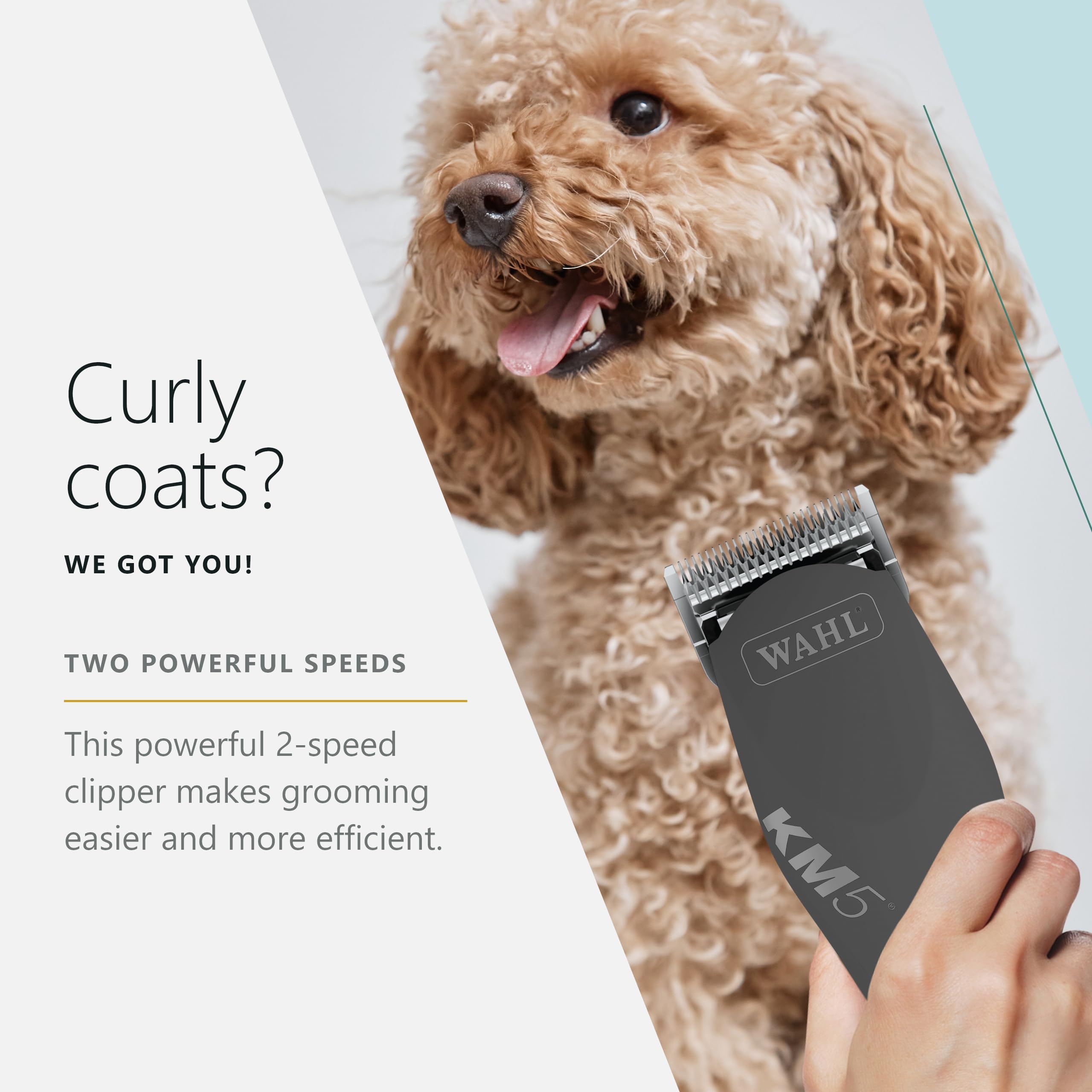 Wahl Pro Animal Curly Coat KM 2-Speed Pro Clipper used on a poodle for gentle clipping