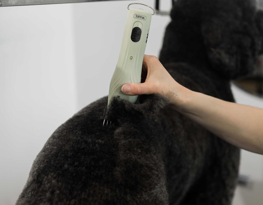 Wahl KMC+ detachable blade system in sage for versatile use