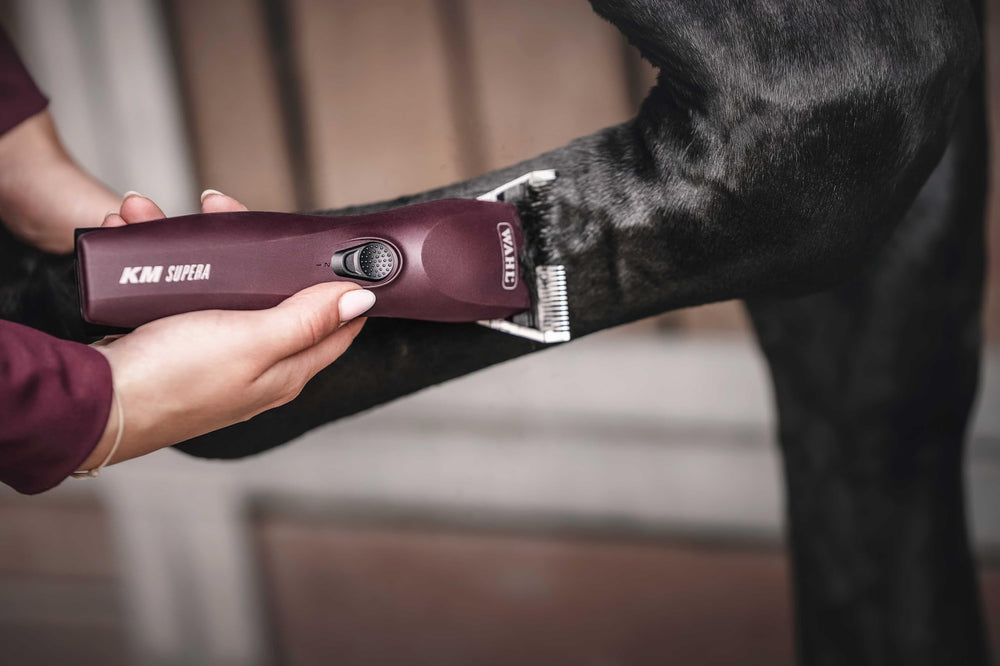 Wahl Pro Animal KM Supera trusted by professionals for precision clipping