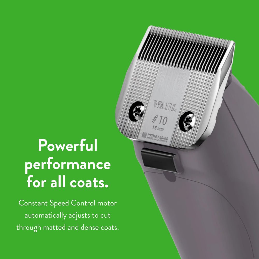 Wahl Pro Animal KM10+ brushless motor delivers quiet, efficient grooming.