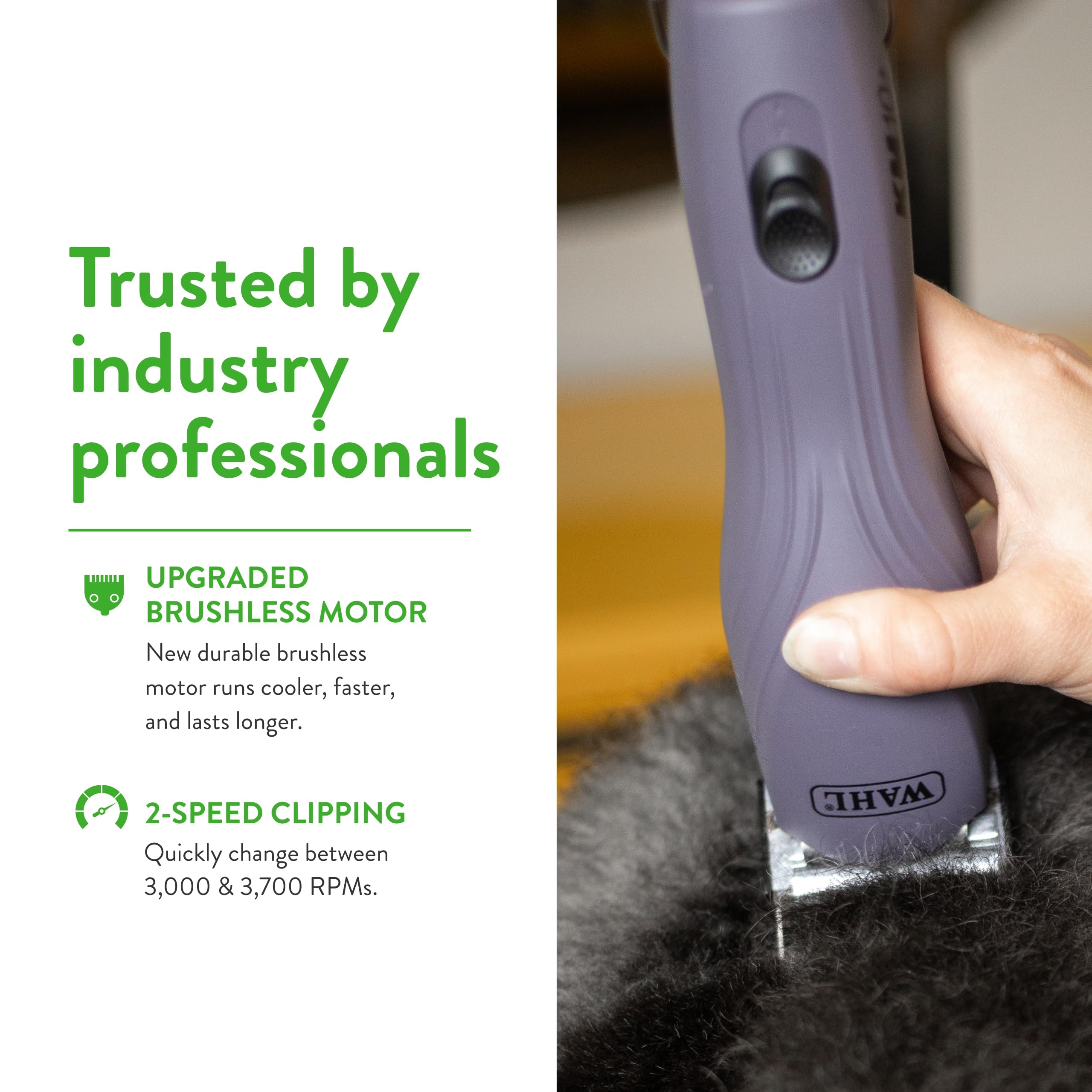Wahl Pro Animal KM10+ clipper in use on cats, dogs, and horses.