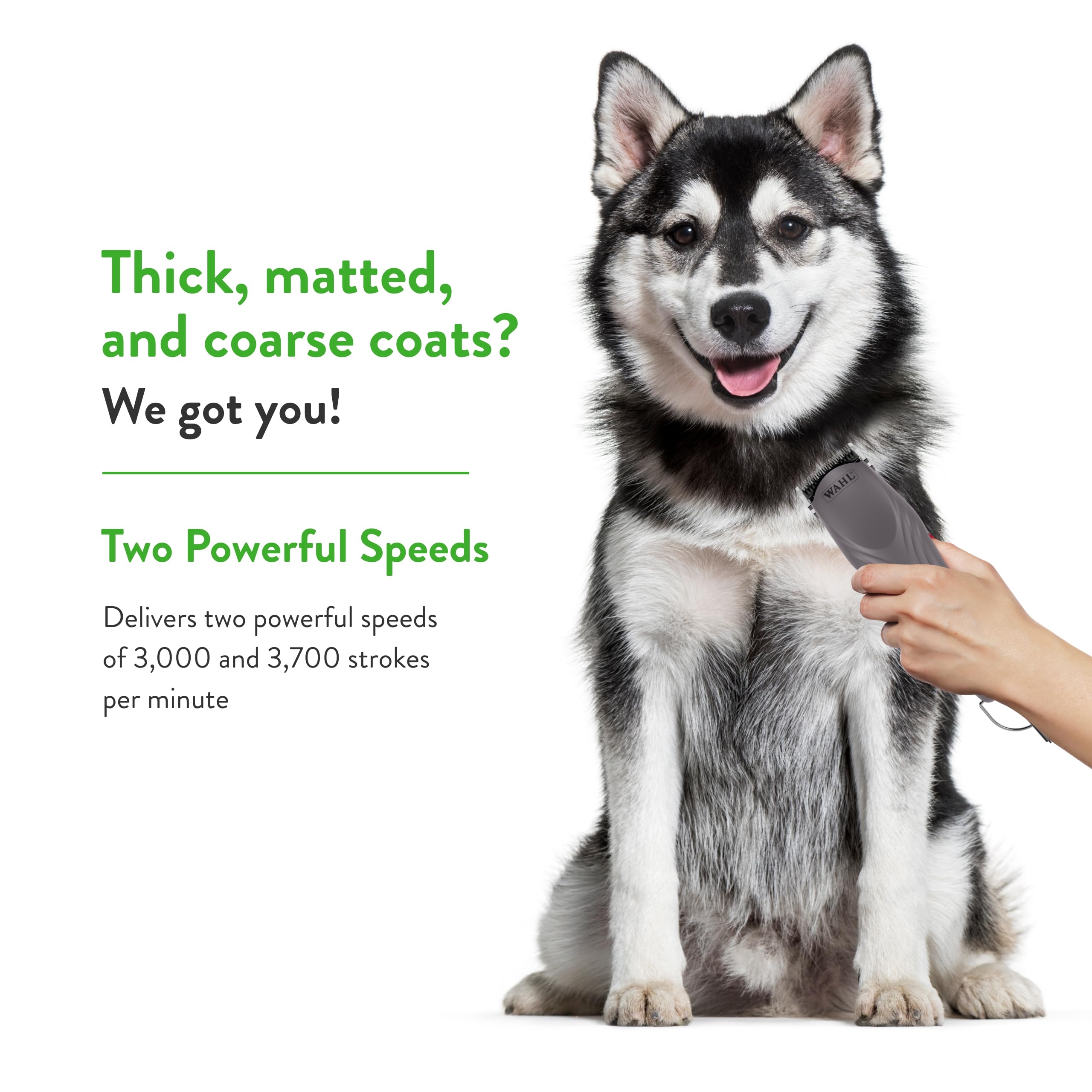 Wahl Pro Animal KM10+ detachable #10 Prime Series blade for durable professional finishes.