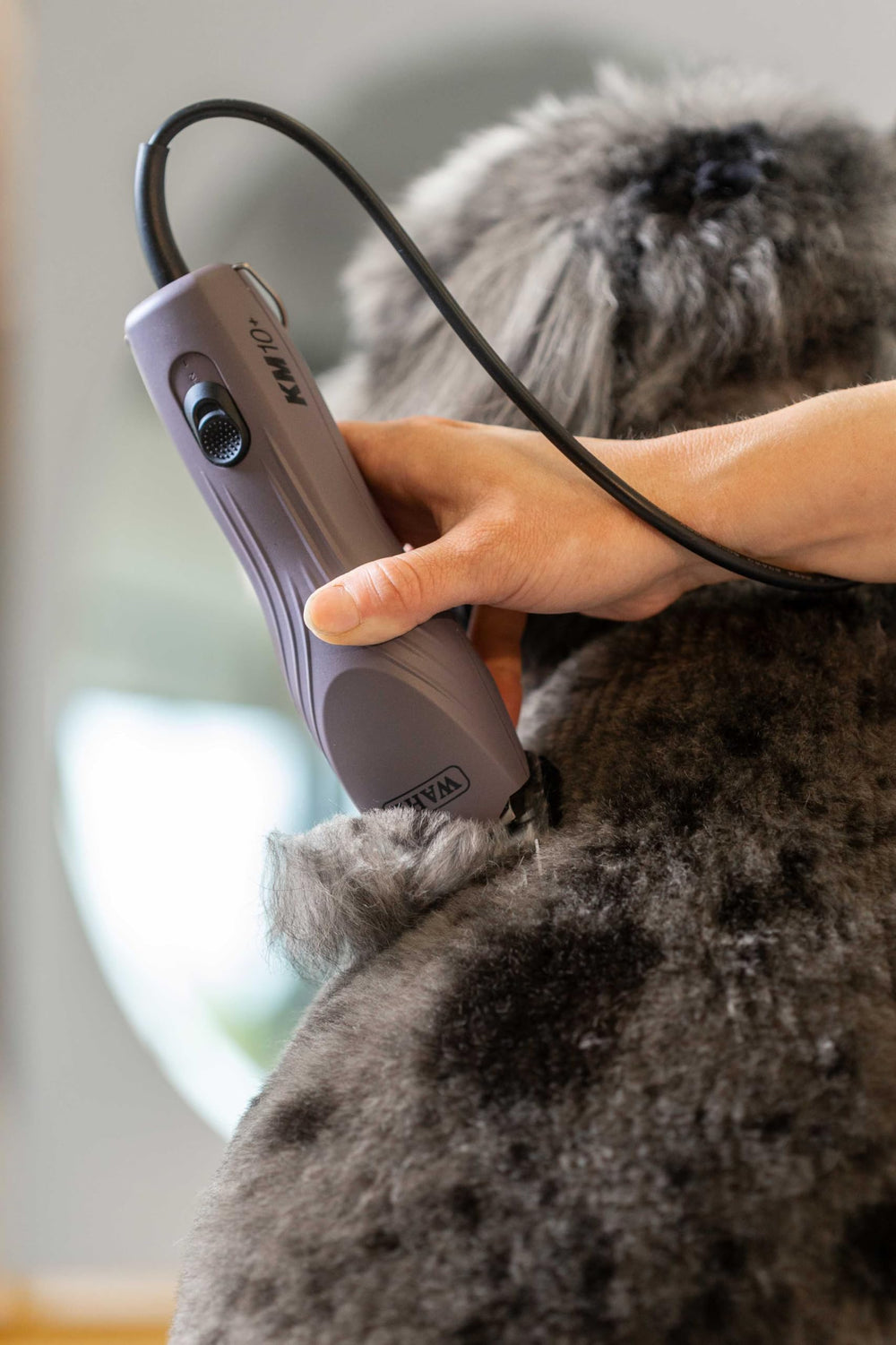 Wahl Pro Animal KM10+ lightweight ergonomic design reduces hand fatigue.