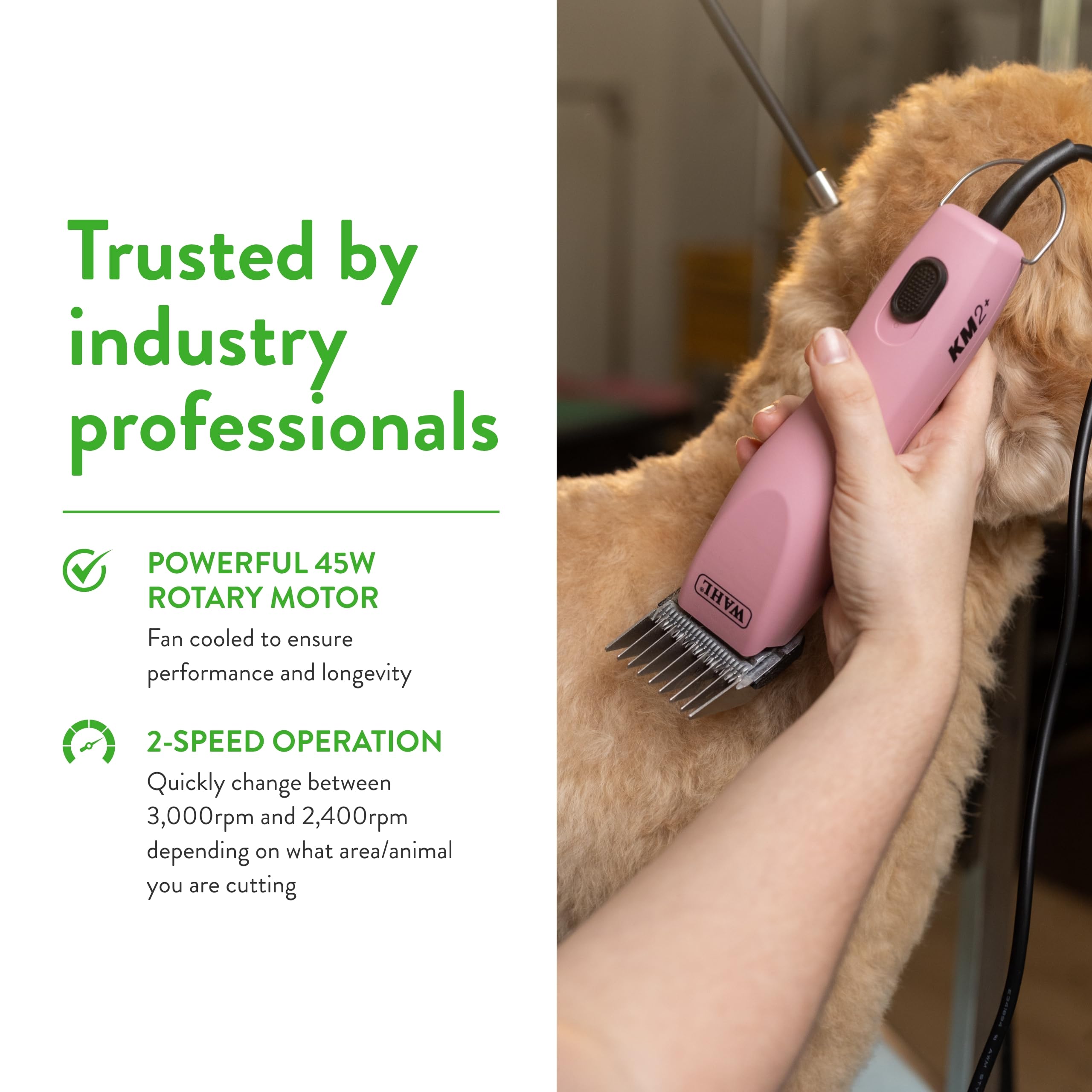 Wahl Pro Animal KM2+ in-use dog grooming scene.