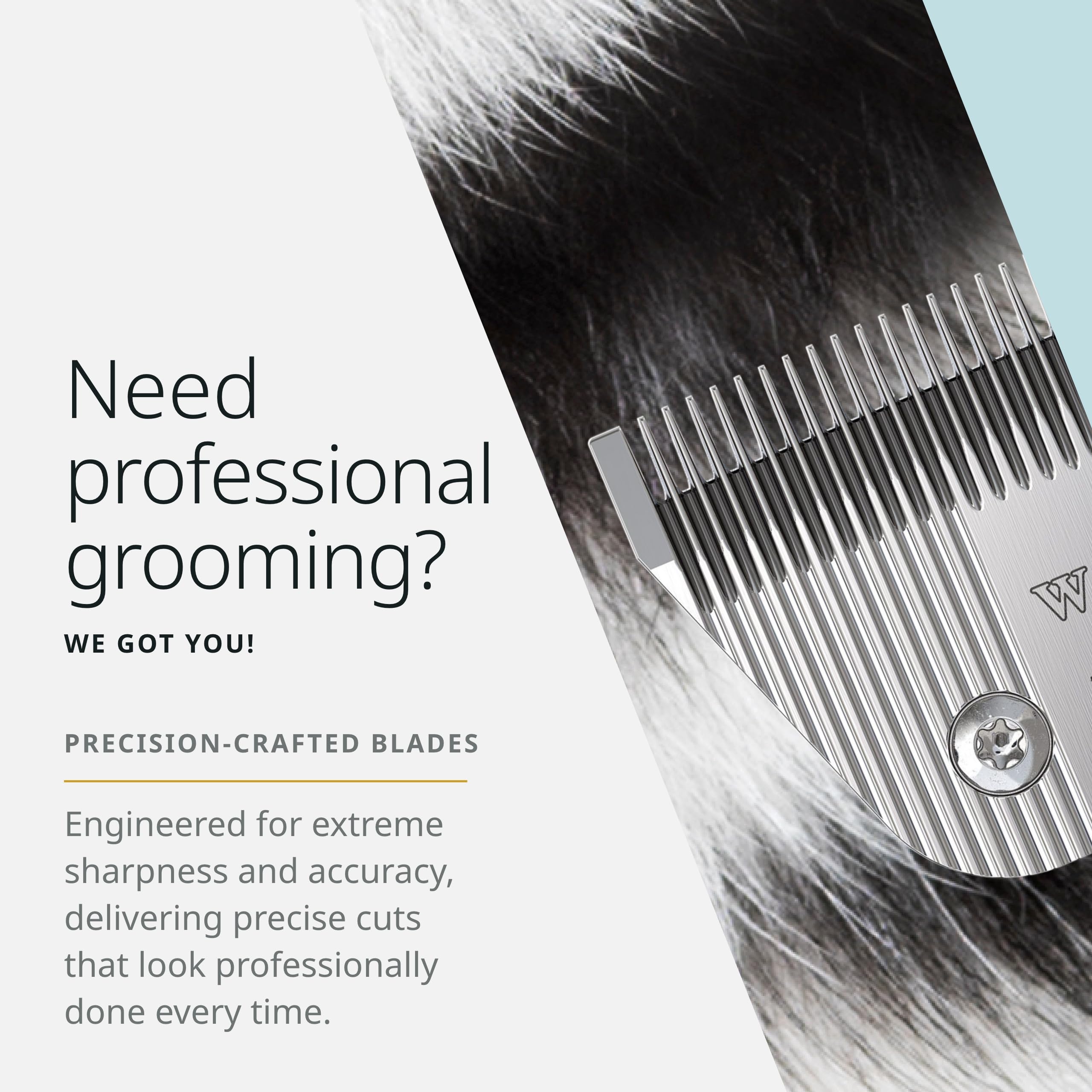 Wahl Pro Animal Wide Prime blade in dog grooming setup for smooth, even cuts.