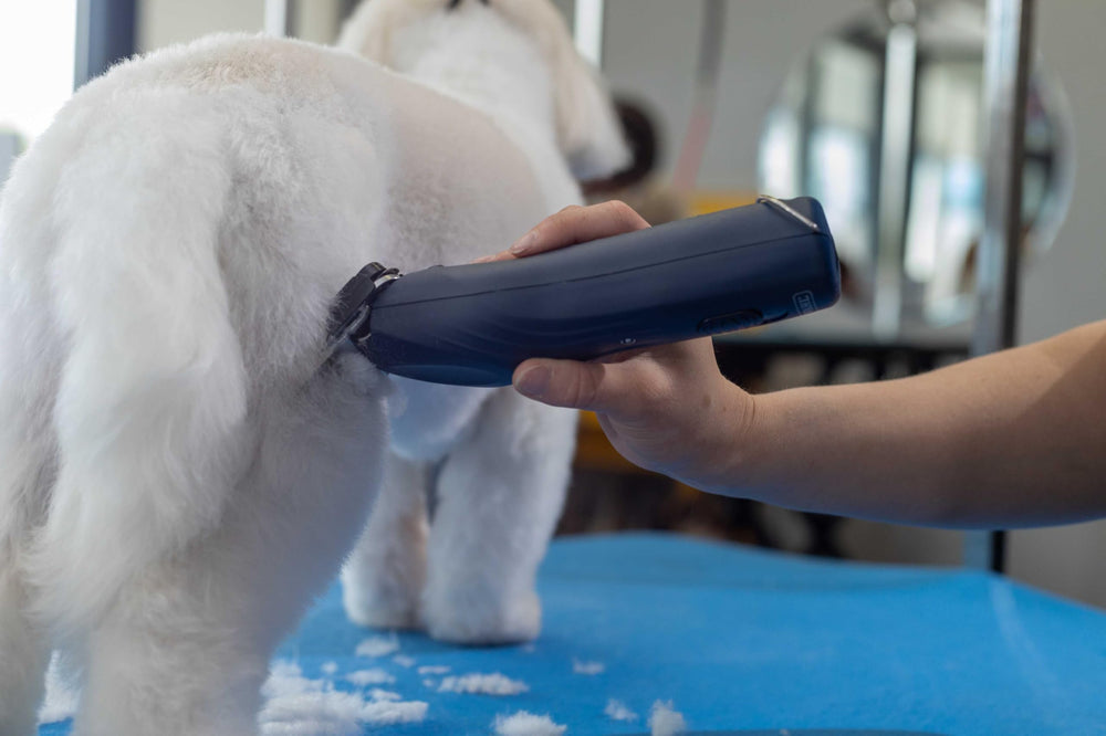 Wahl Professional Animal kit includes attachments for a complete grooming setup