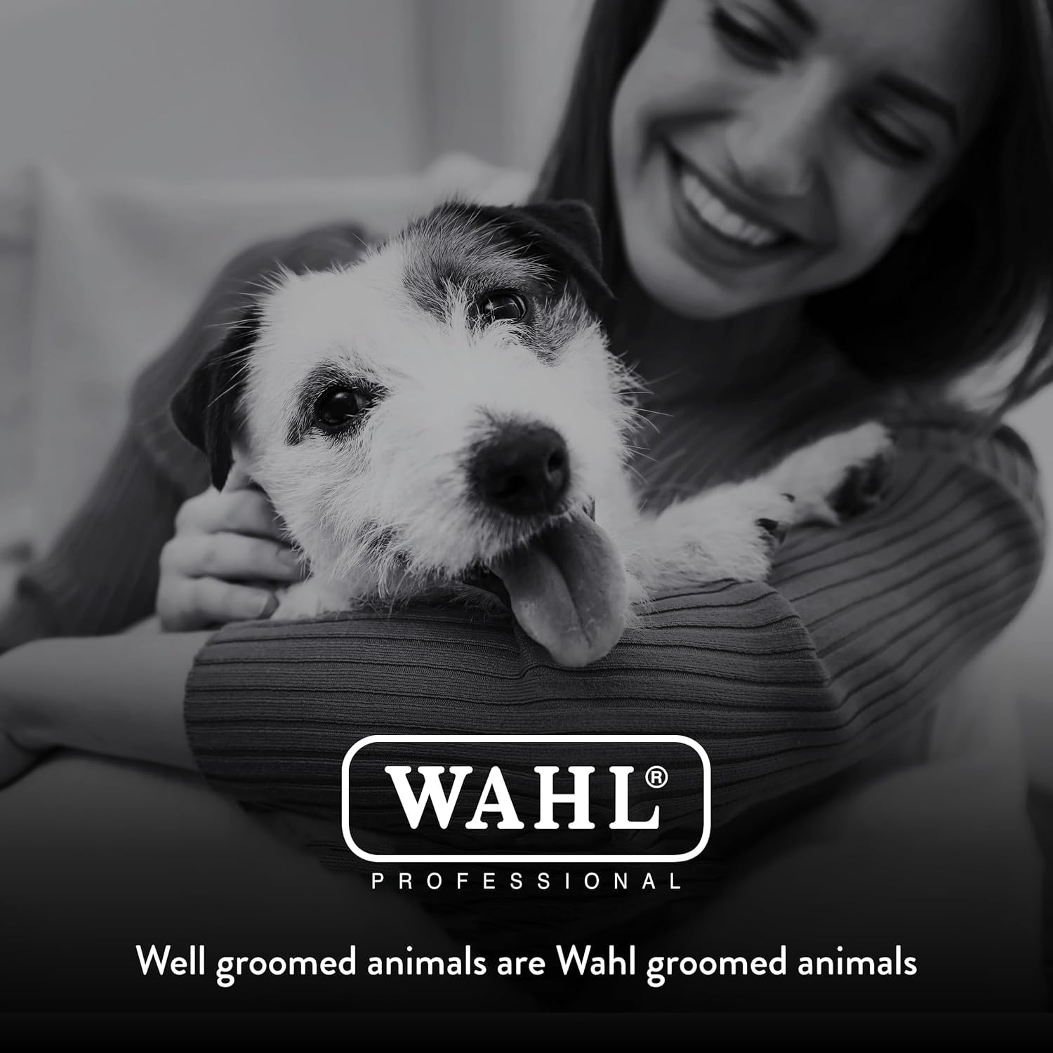 Wahl Professional Animal KMC+ sage kit ready for grooming jobs