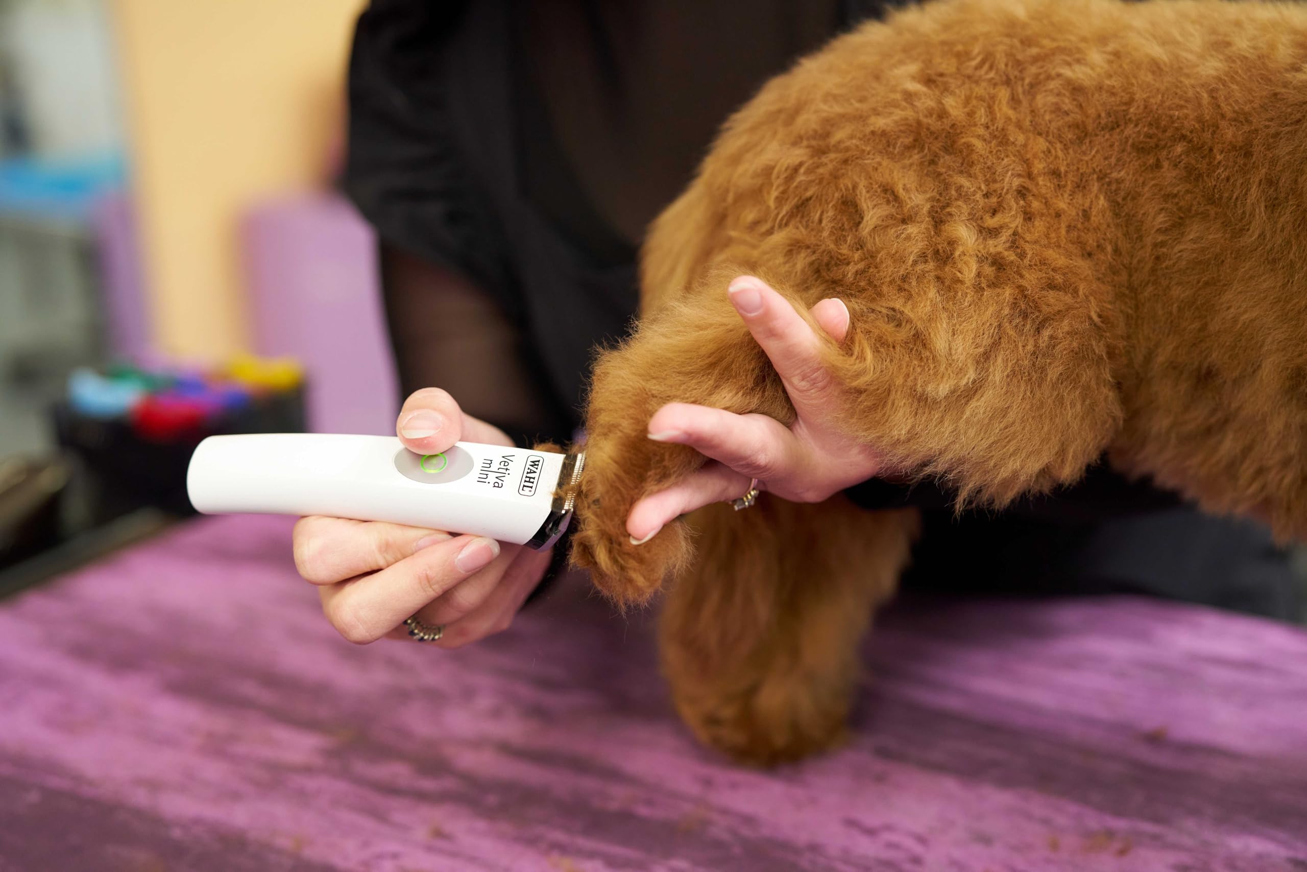 Wahl Vetiva Mini Cordless Trimmer ideal for paws and detailed paw trims