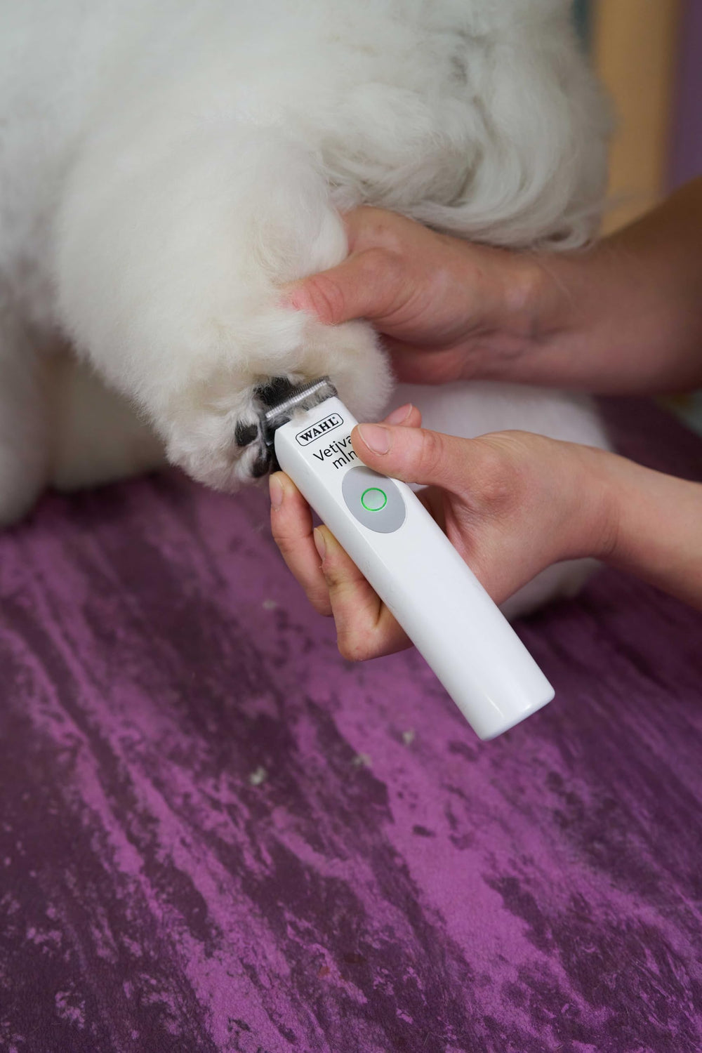 Wahl Vetiva Mini Cordless Trimmer 2-hour runtime supports all-day grooming