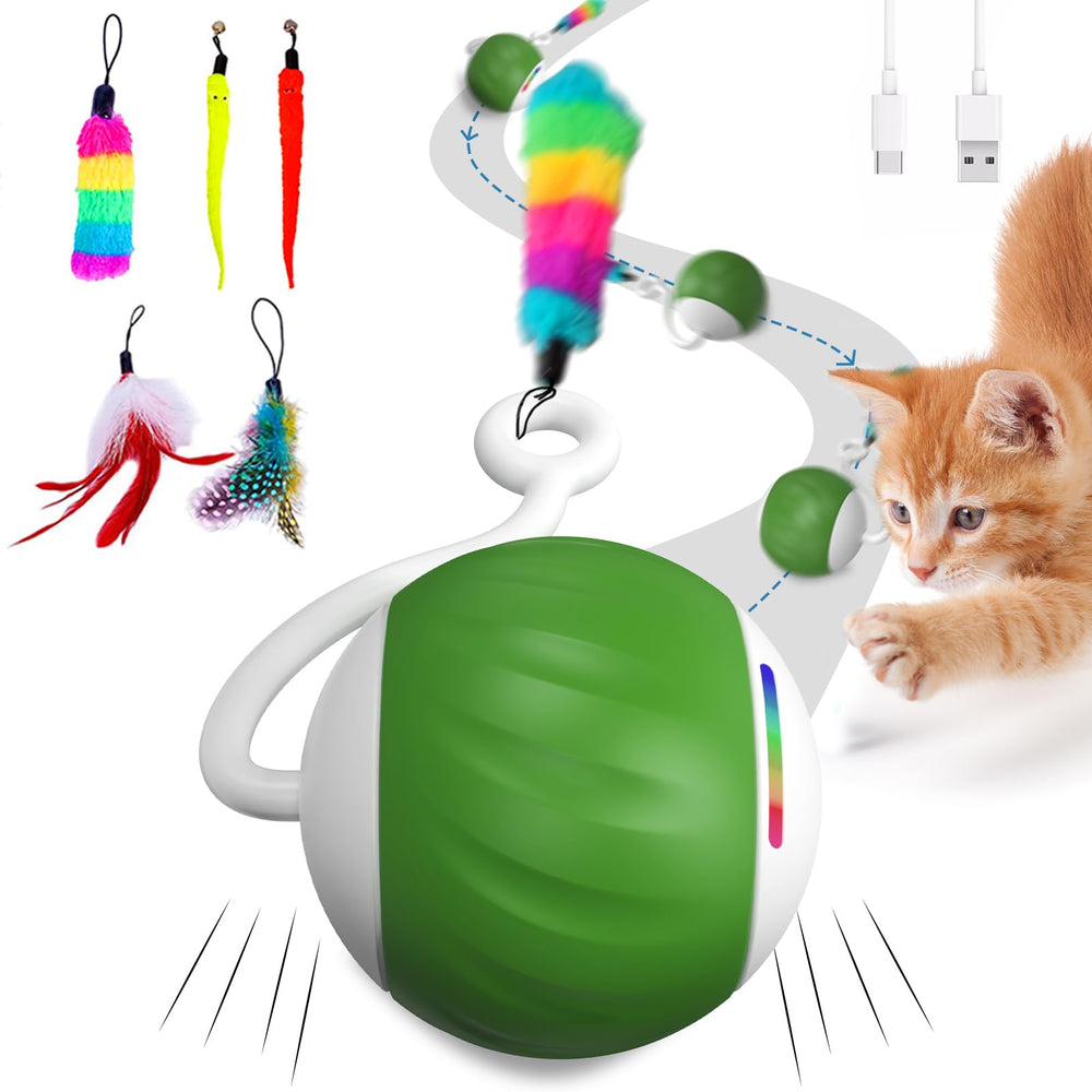WAKHJAKT interactive cat toy ball with LED rainbow lights for chasing fun.