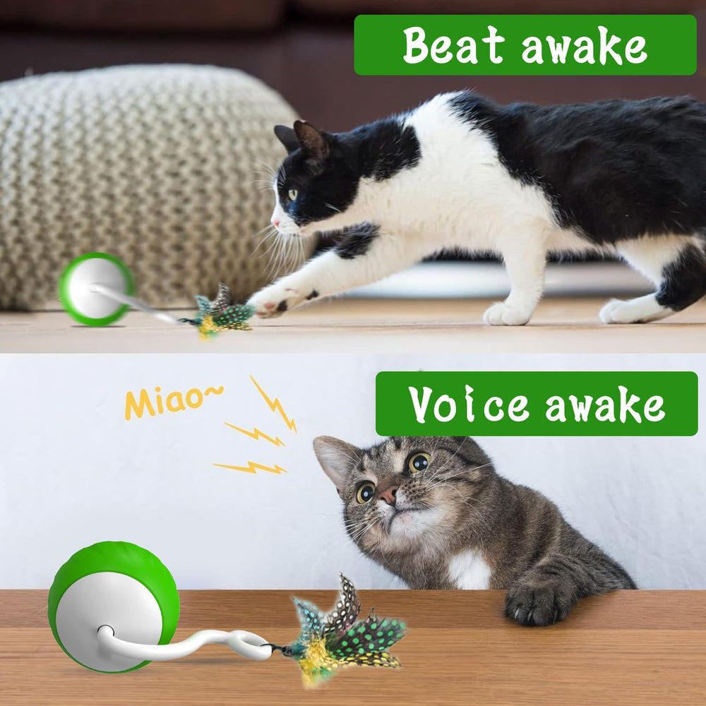 WAKHJAKT USB charging cat toy ball with extended playtime.