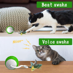 WAKHJAKT USB charging cat toy ball with extended playtime.