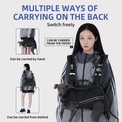 Wakytu dog backpack carrier supporting an elderly dog during a walk