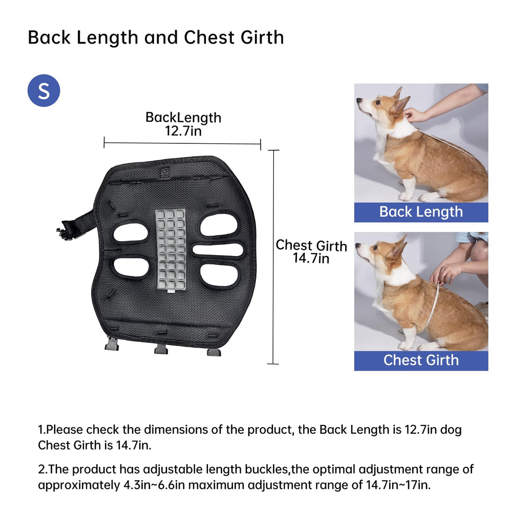 Wakytu dog backpack carrier waterproof 1680d fabric in outdoor setting