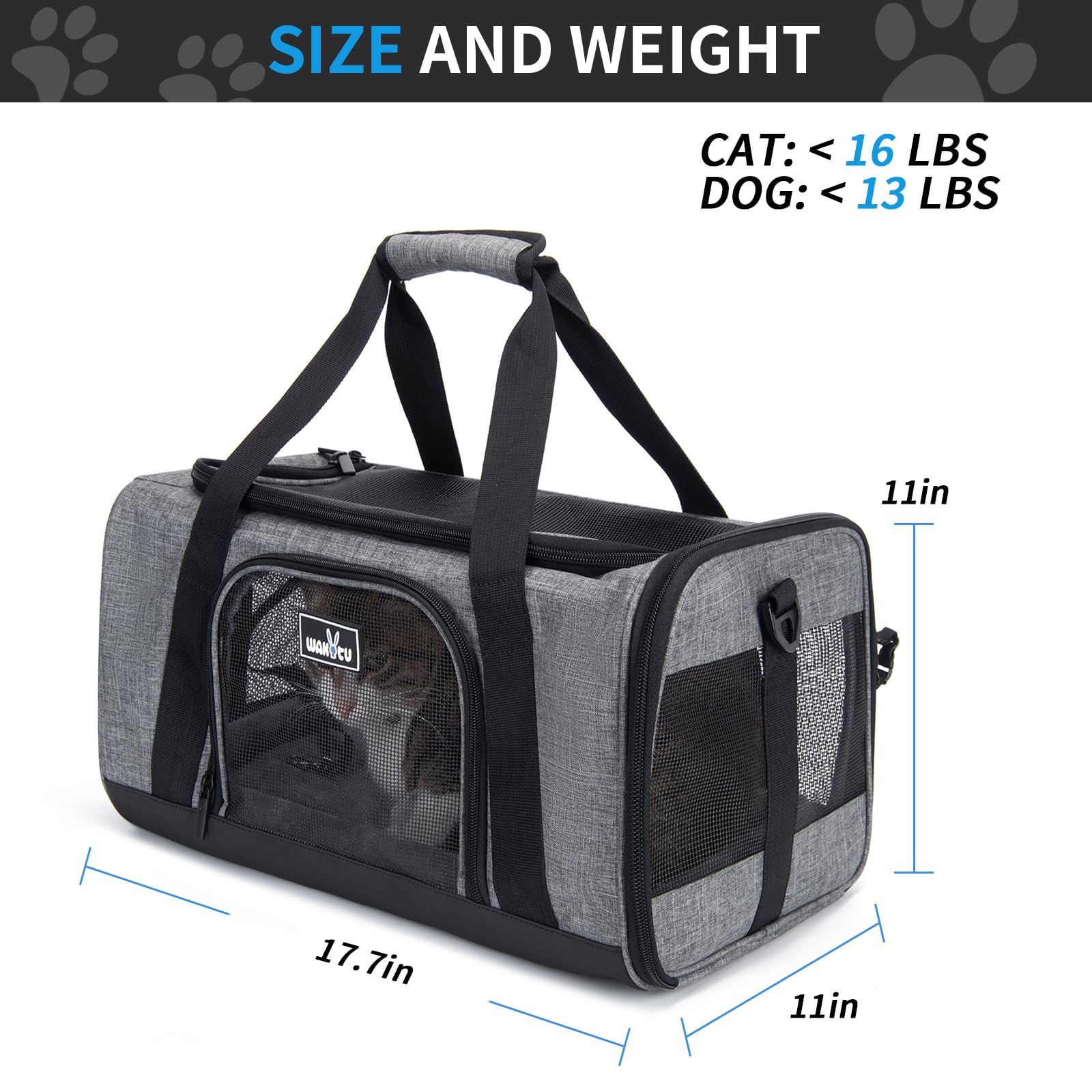 Wakytu pet carrier unfolded size view shows roomy interior for small pets on trips.