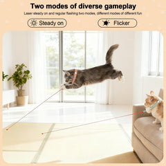 Walfront extended light head image shows beam reach for long-haired cats