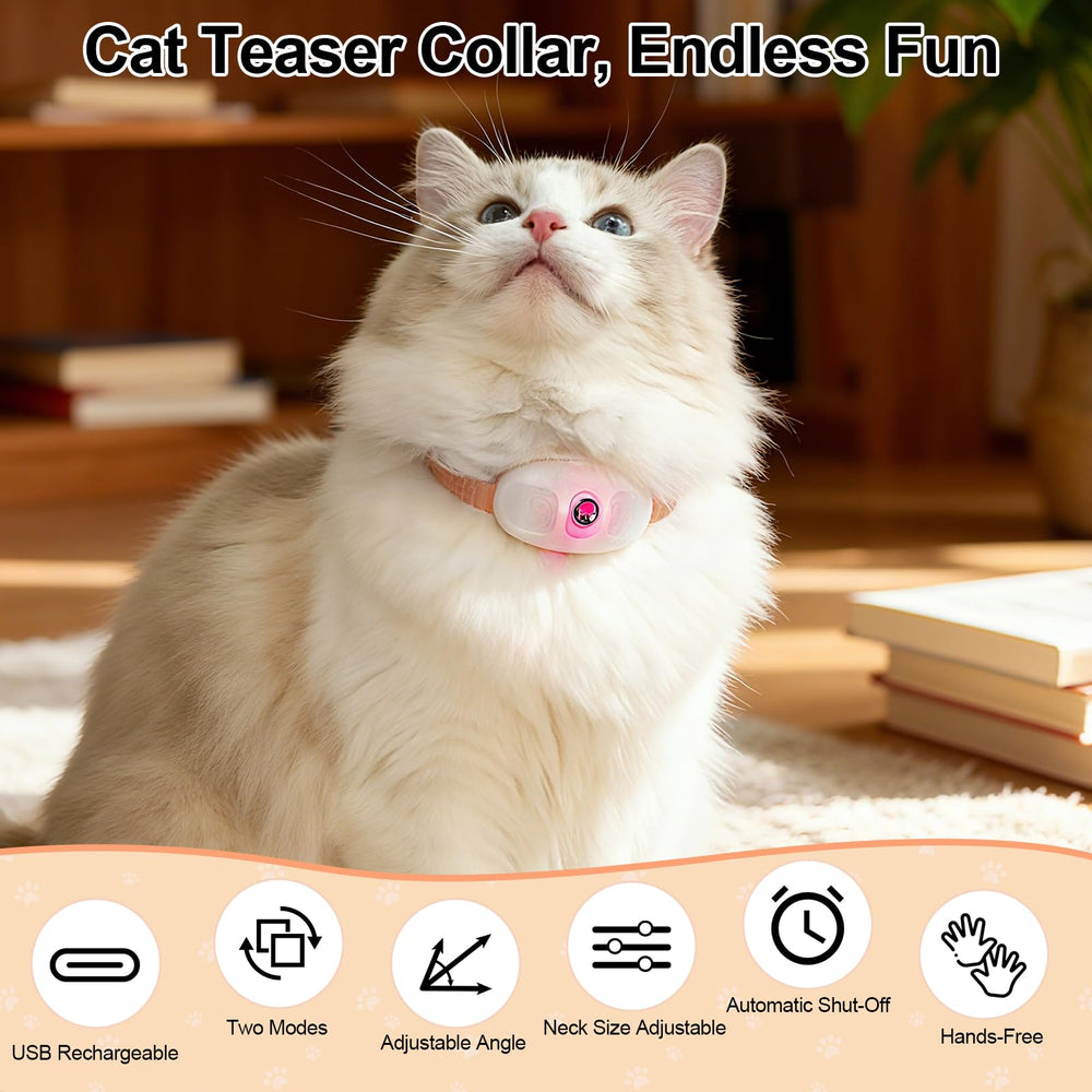 Walfront laser cat toy two-mode setup showing steady beam and flicker for engagement