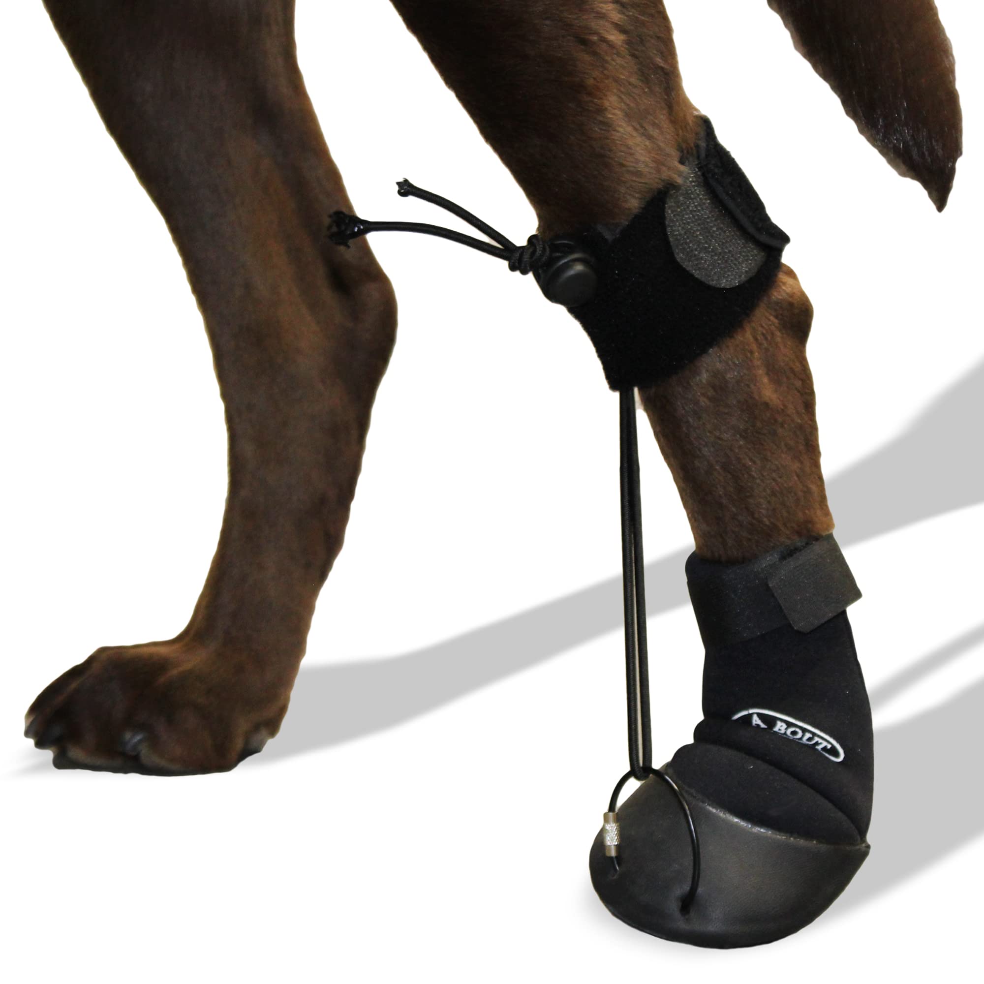 Walkabout Toe'sUP front strap adjustment for customizable support