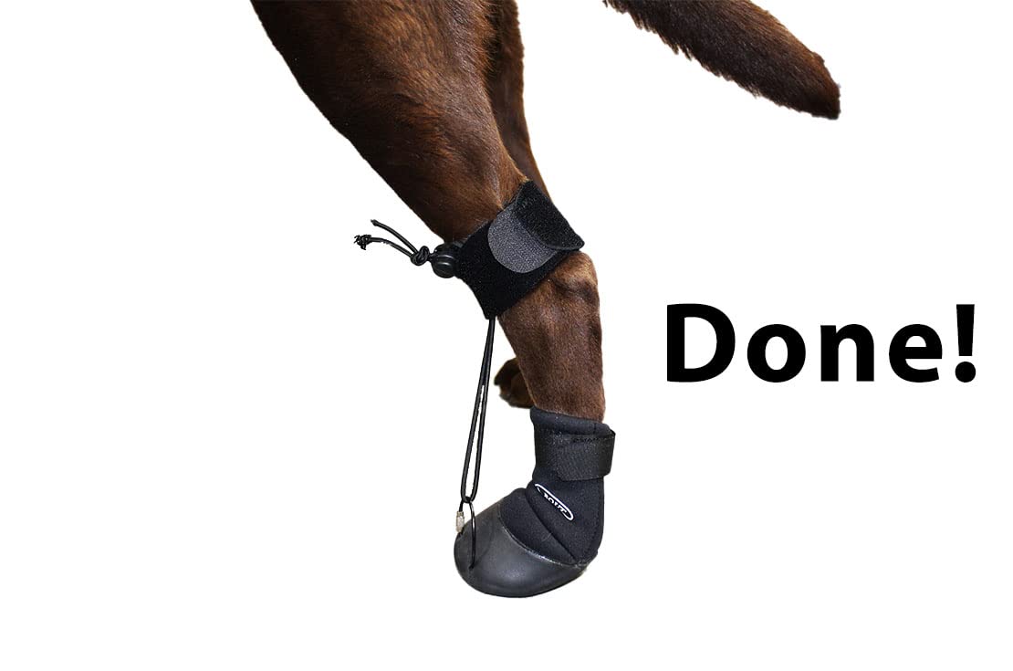 Walkabout Toe'sUP secure strap attachment for confident use