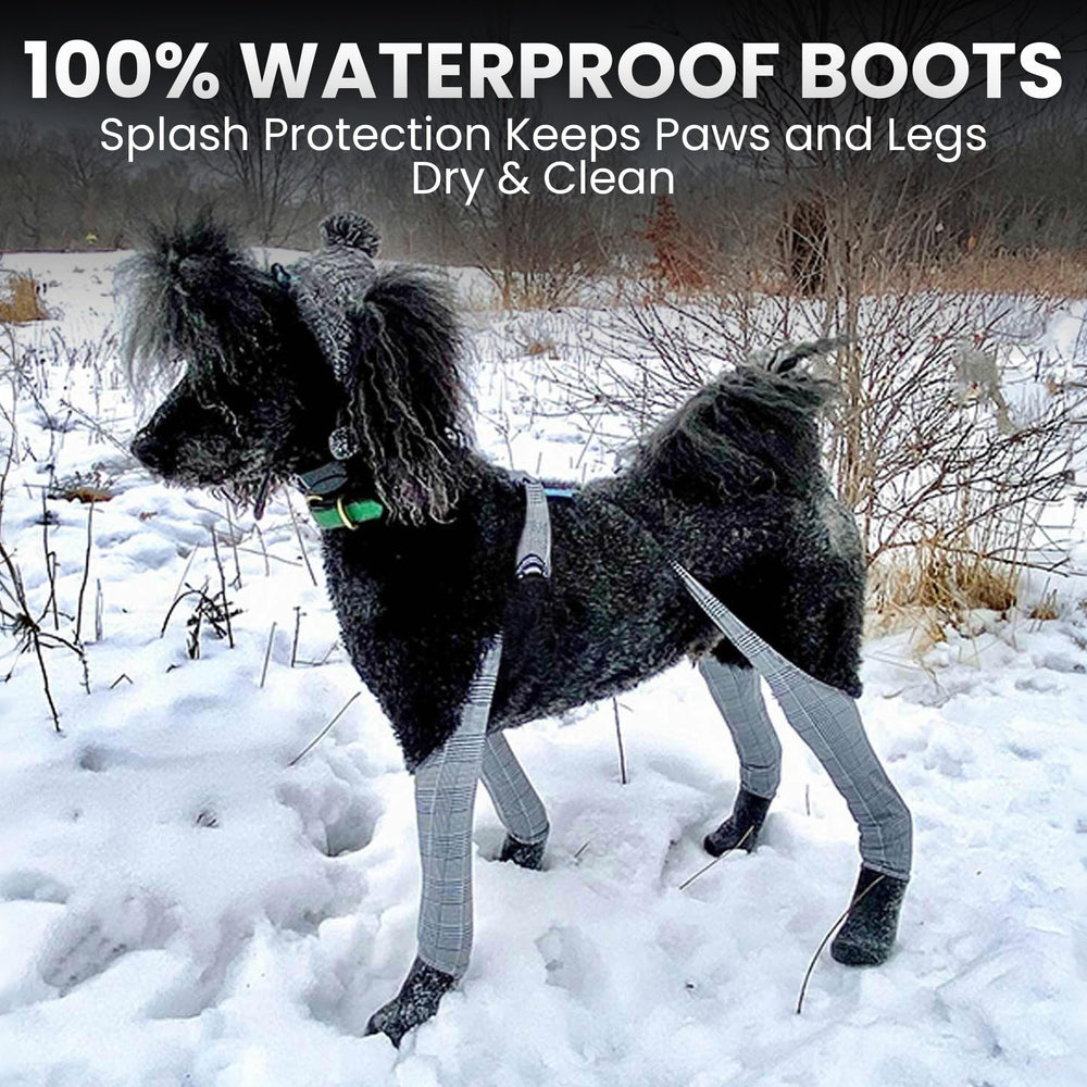 Walkee Paws back-coverage design keeps booties connected for secure wear.