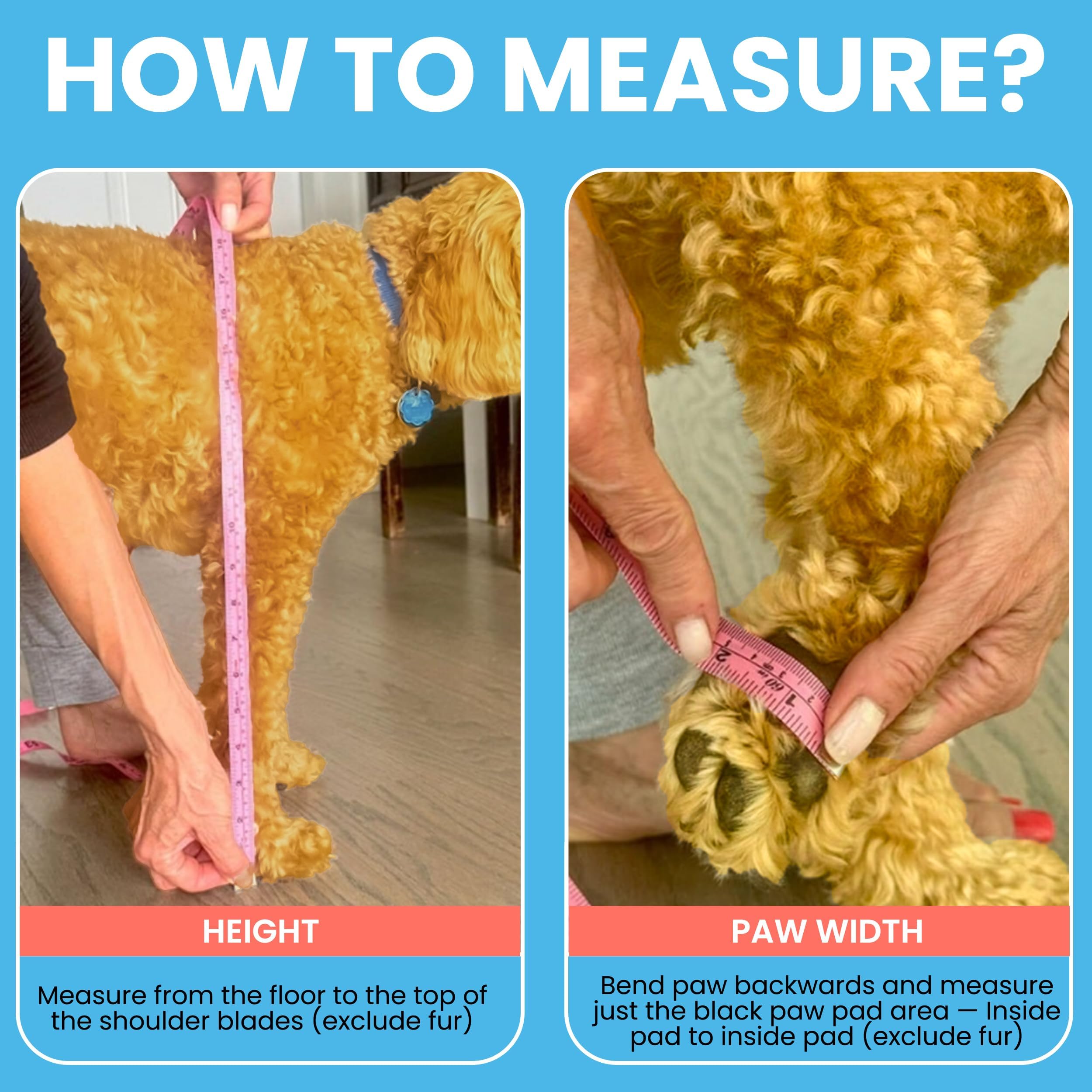 Walkee Paws back-strap Velcro for extra security on larger paws.