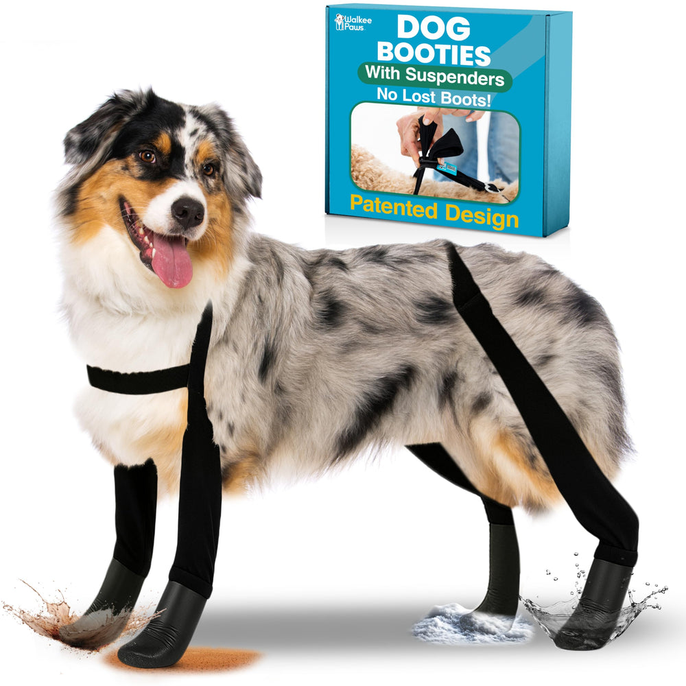 Walkee Paws 100% waterproof boots help keep paws clean and dry.