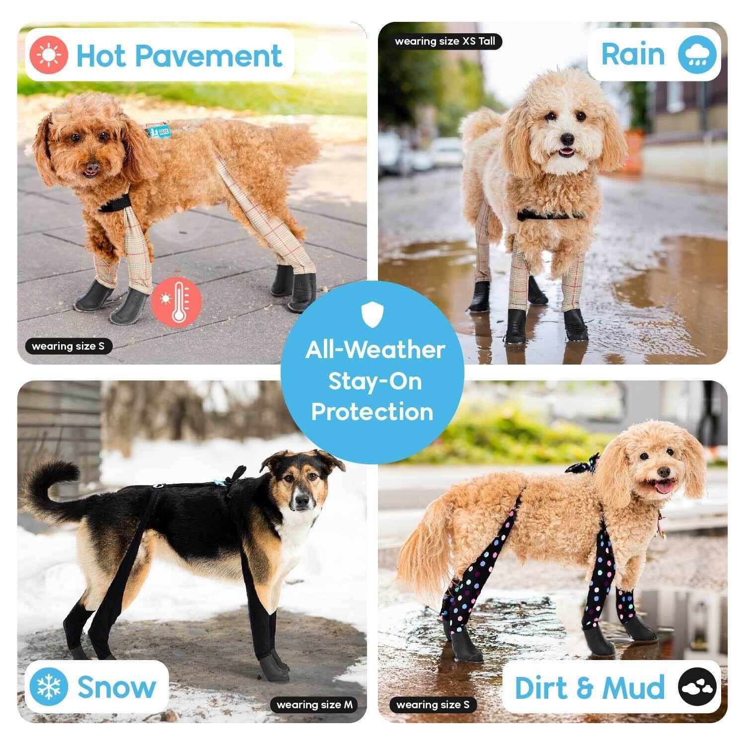 Walkee Paws dry and ready after walks thanks to rinse and dry care