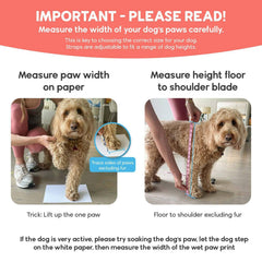 Walkee Paws back-over design helps socks stay on during active play.