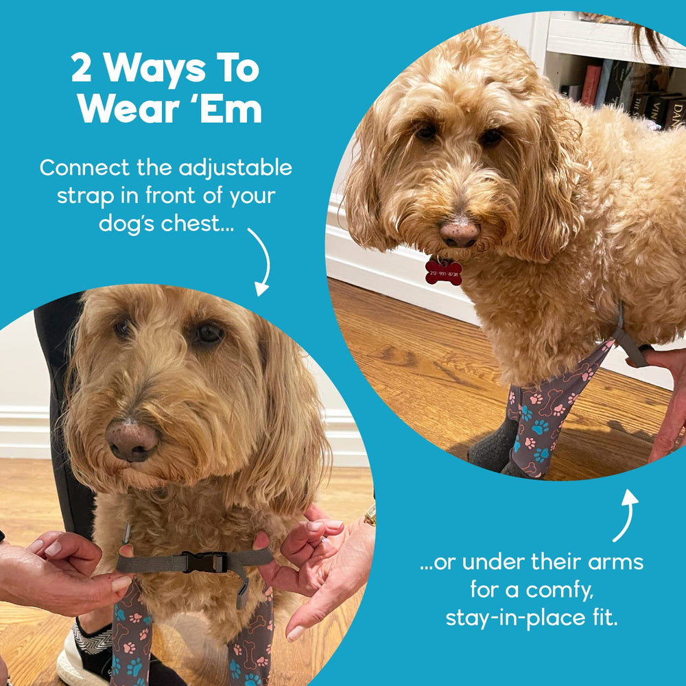 Walkee Paws senior dogs anti-slip socks reducing slips on slick surfaces