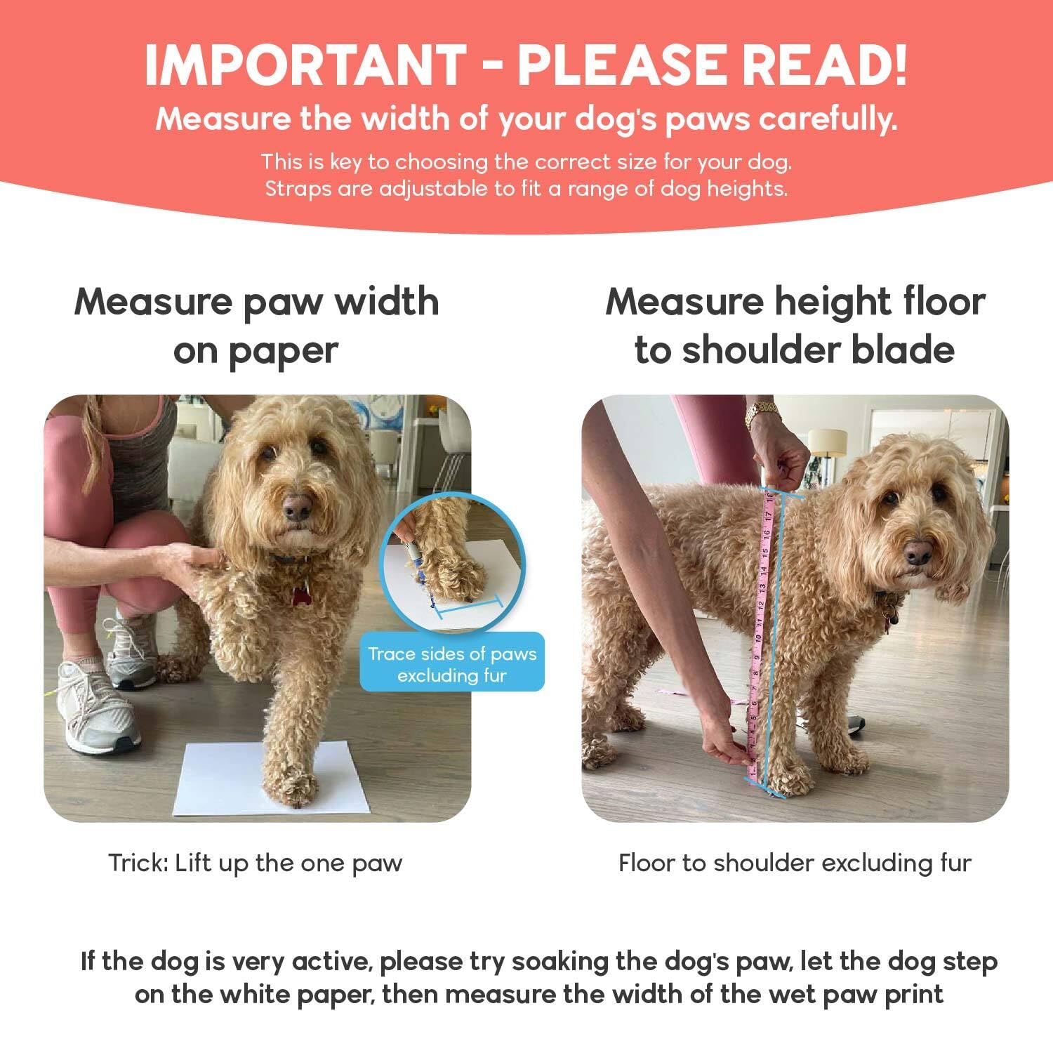 Walkee Paws Stay-On Sock over-the-back design keeps socks in place during play.