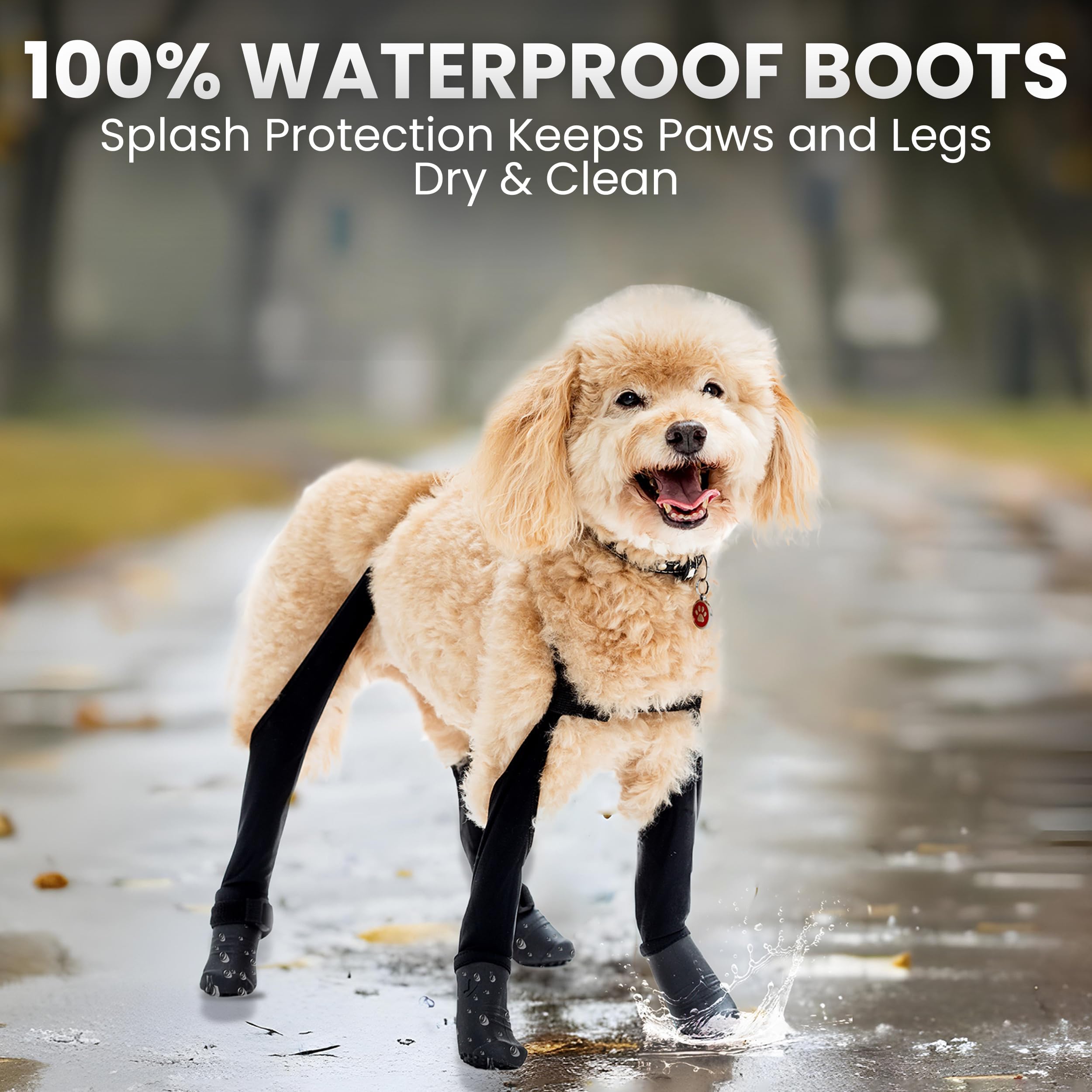 Walkee Paws sizing and strap adjustment image shows customizable secure fit.