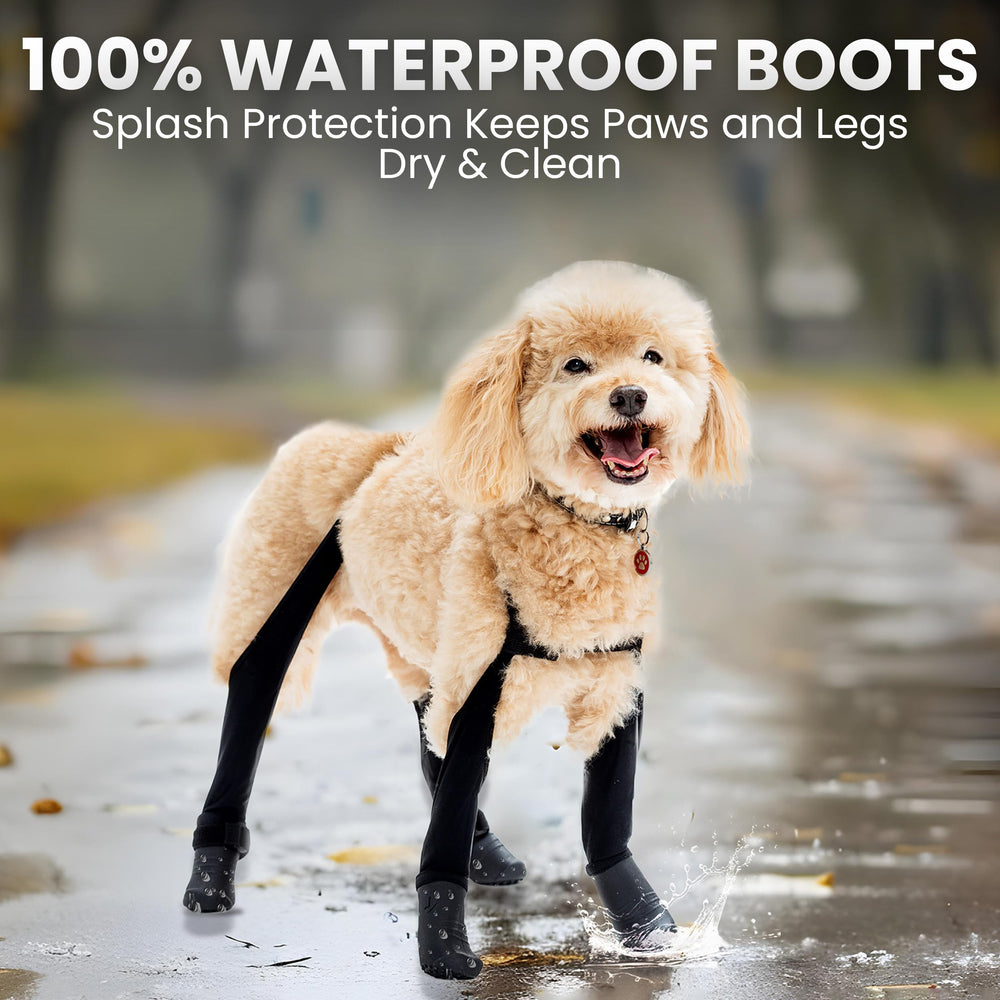 Walkee Paws suspender design featured for secure all-day wear