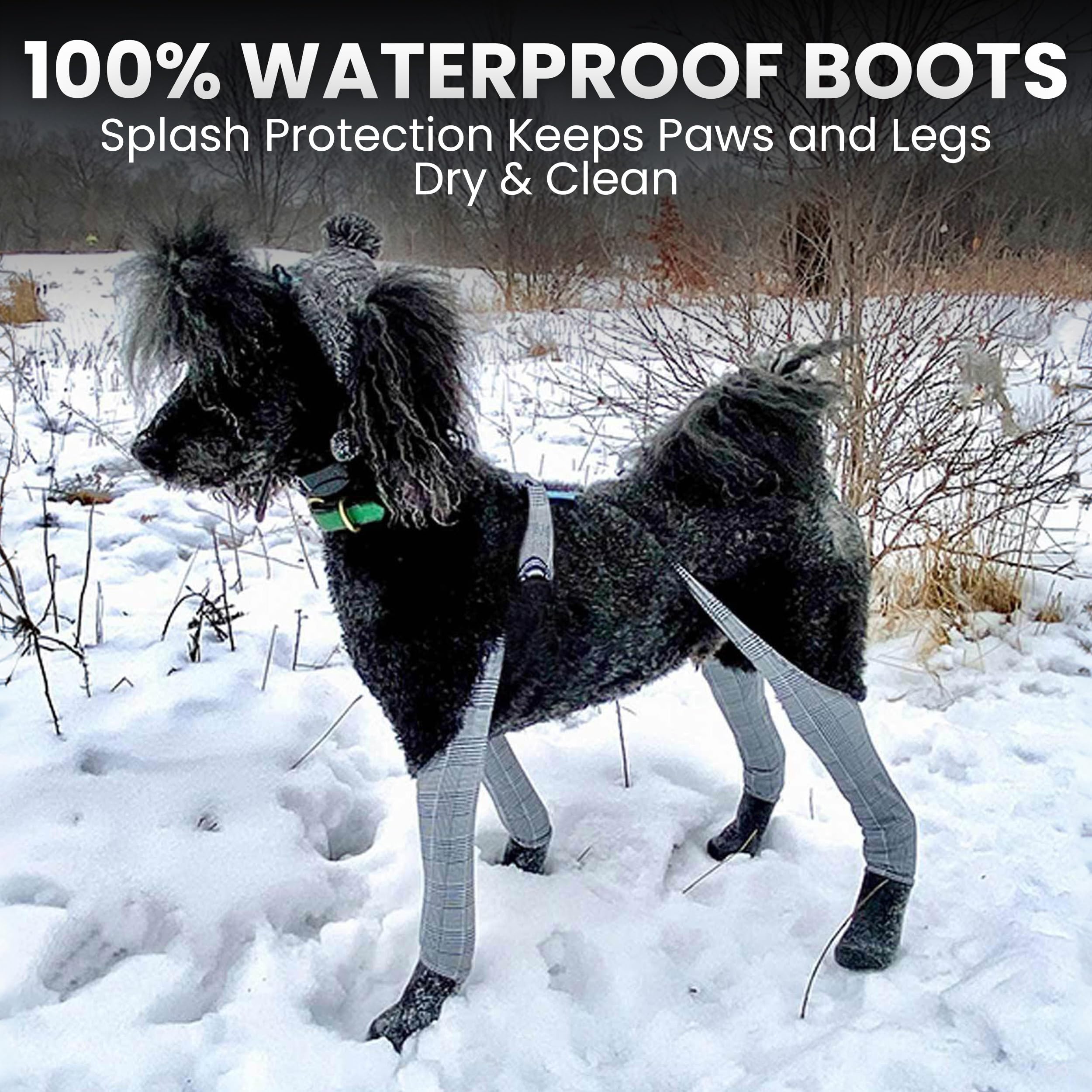 Walkee Paws winter walks enable clean paws and steady footing in snow.