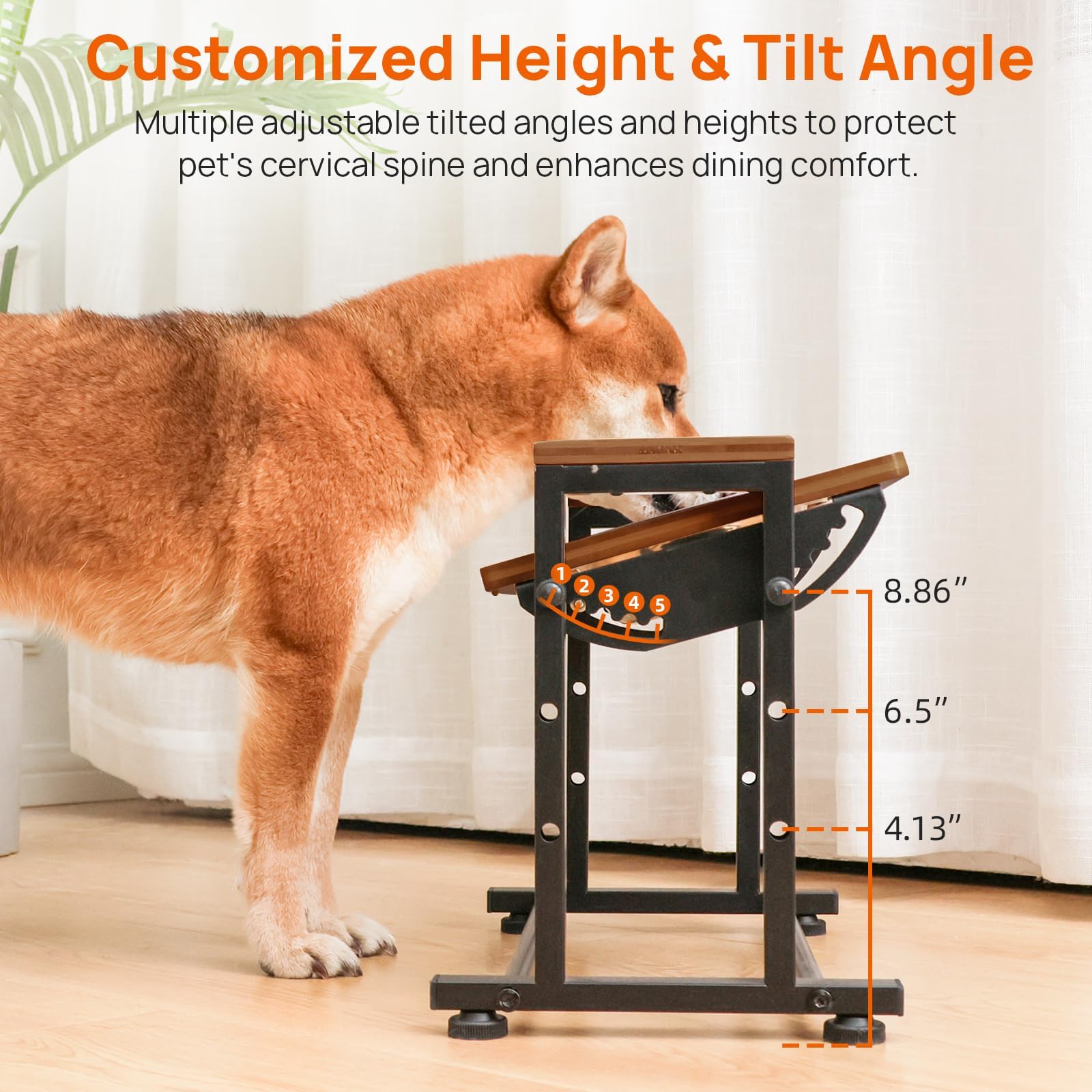 Walnest adjustable-height stand bowls closeup highlights dishwasher-safe stainless steel bowls.