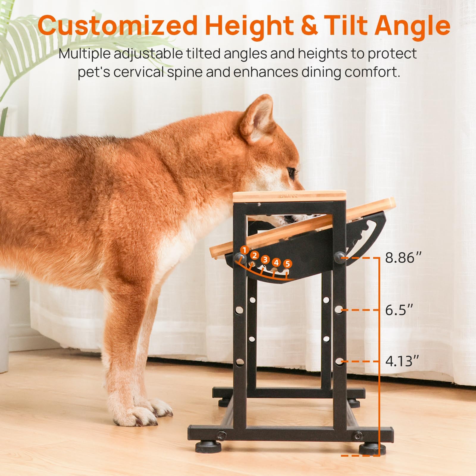 Walnest height levels adjustable to fit teacup to medium pets