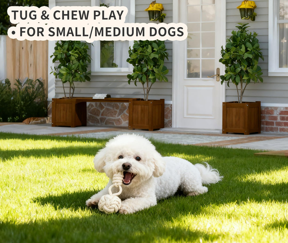 Wanapure dog nameplate ring adds a personalized touch to home setup