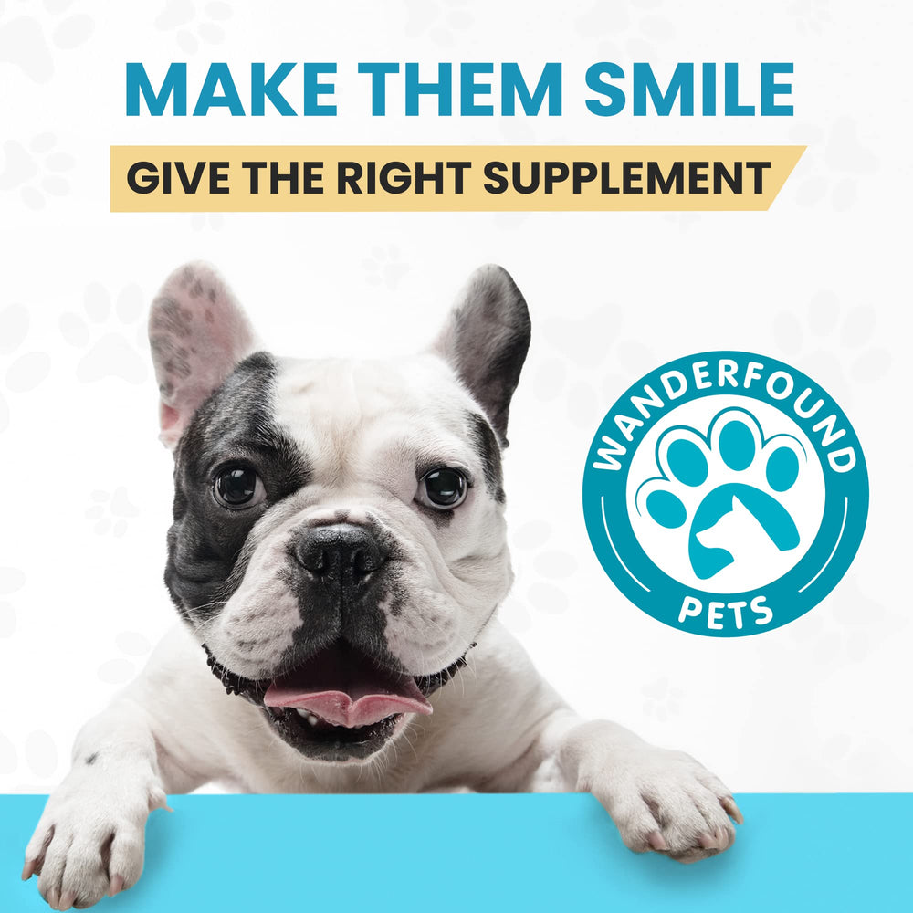 Wanderfound Pets packaging shot showing 120 chewable tablets bottle