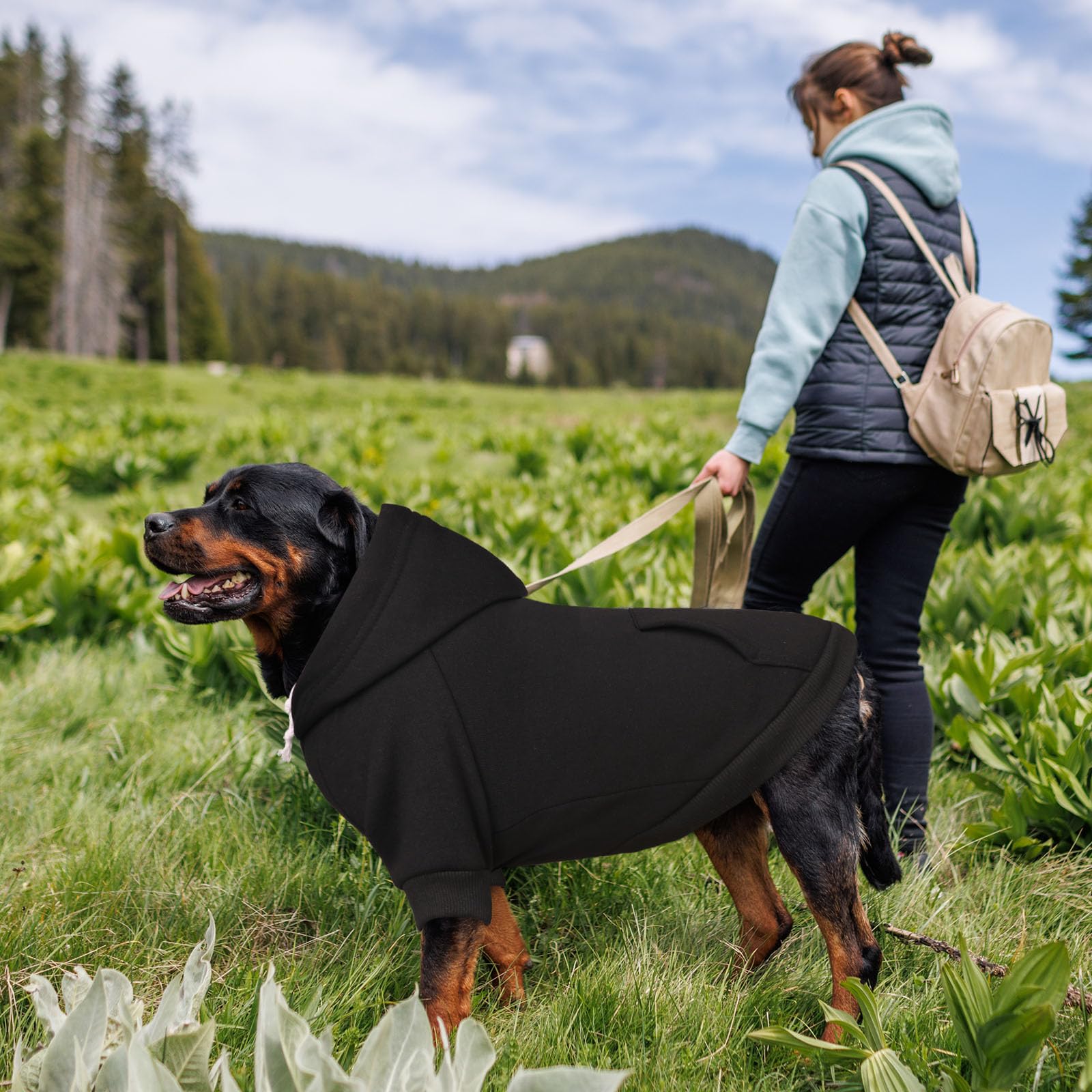 Waoduld 5XL size-range chart image demonstrates fit guidance for big dogs