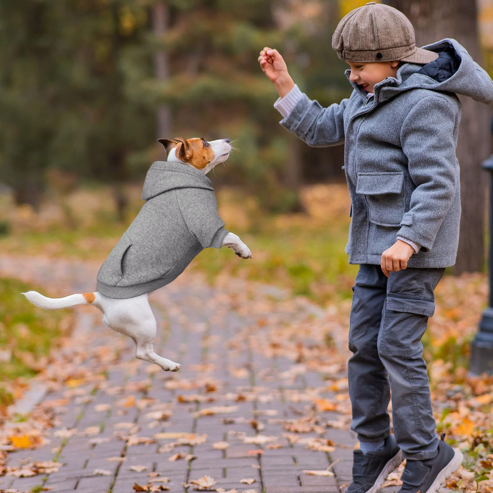 Waoduld dog sweater grey color offers timeless, versatile style for daily wear.
