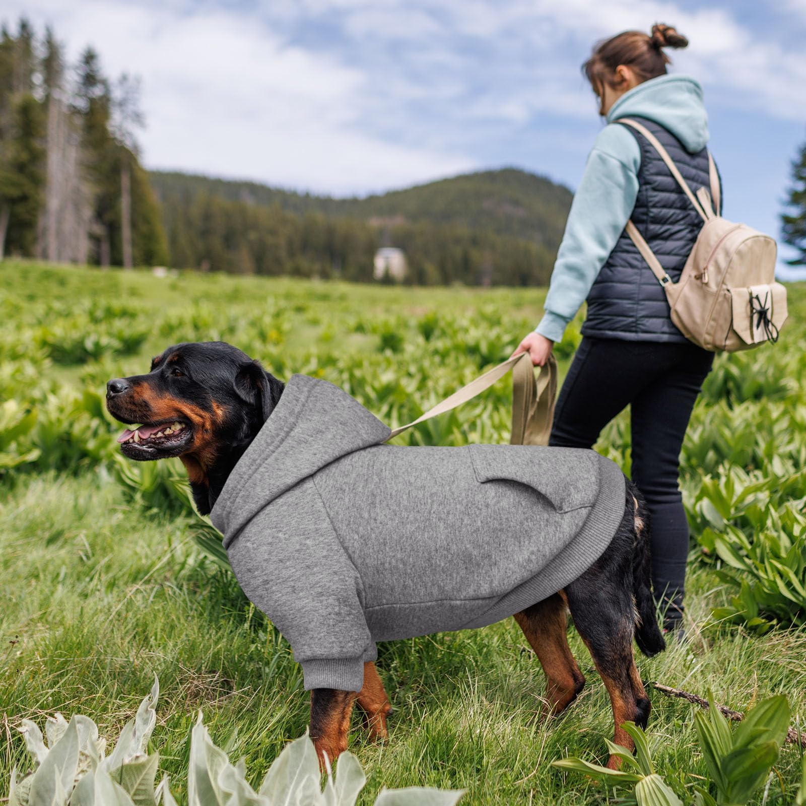 Waoduld dog sweater model wearing demonstrates everyday comfort on walks.
