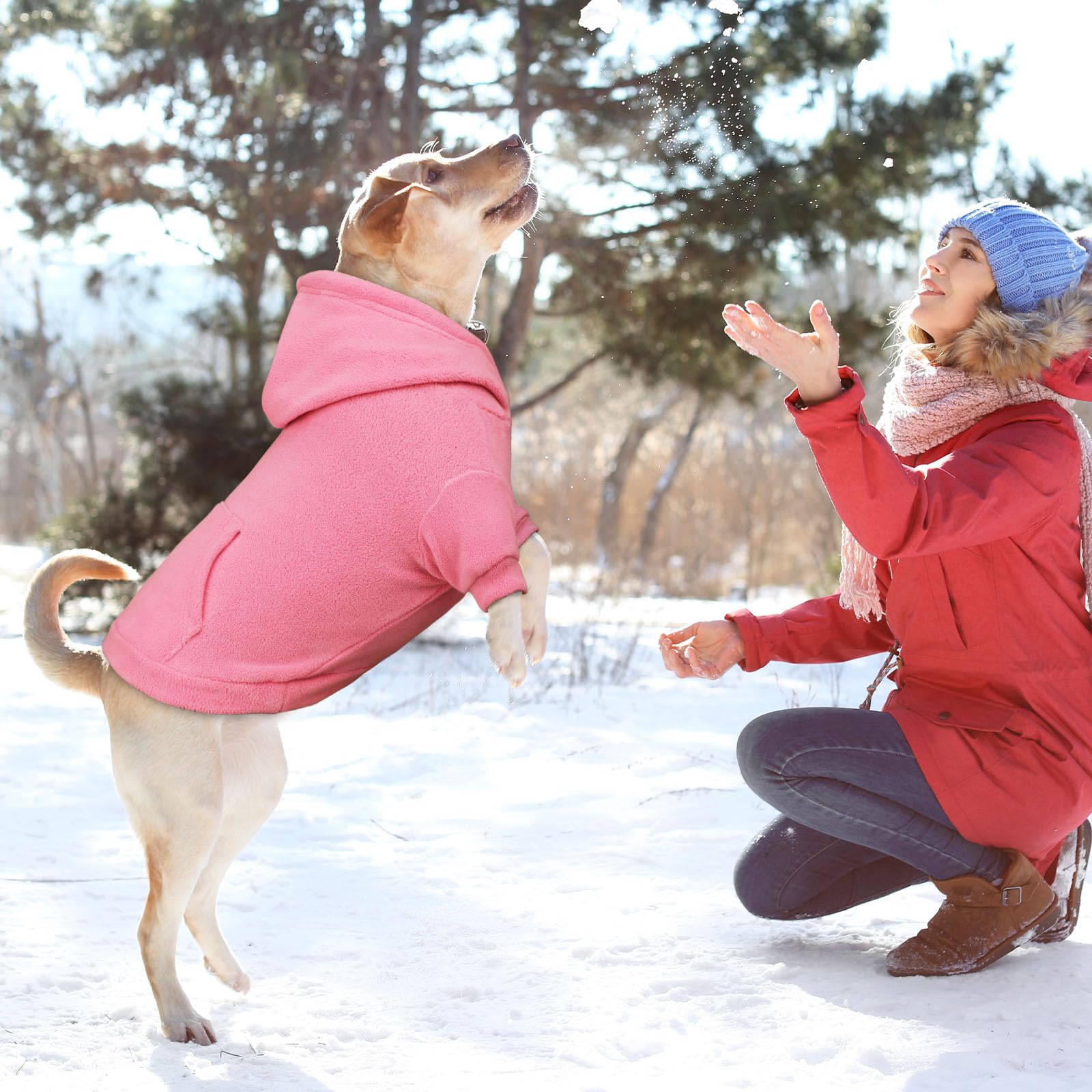 Waoduld pink XL dog hoodie back view highlighting full coverage and warmth