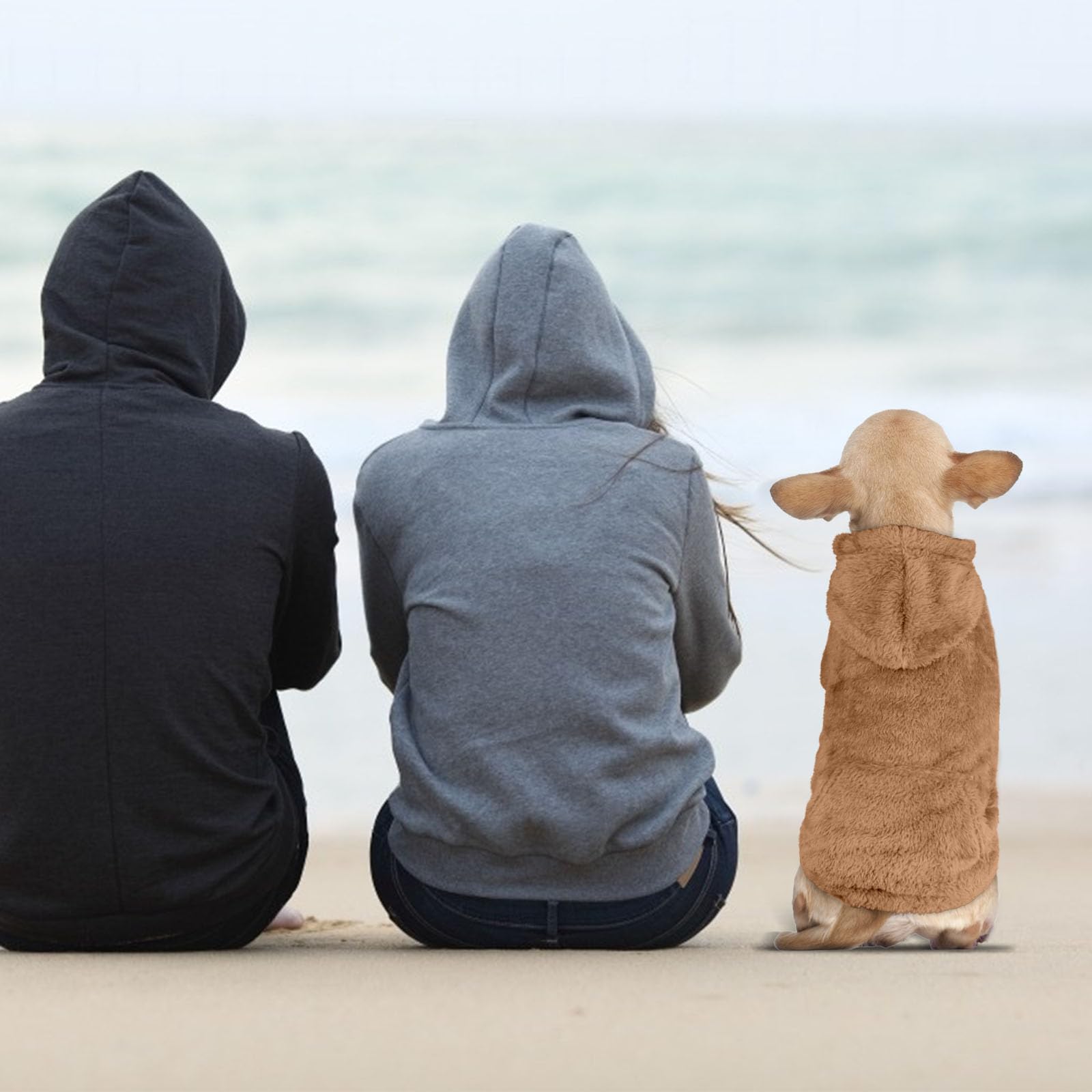 Waoduld dog sweater size chart showcase helps choose the right fit across seven options.
