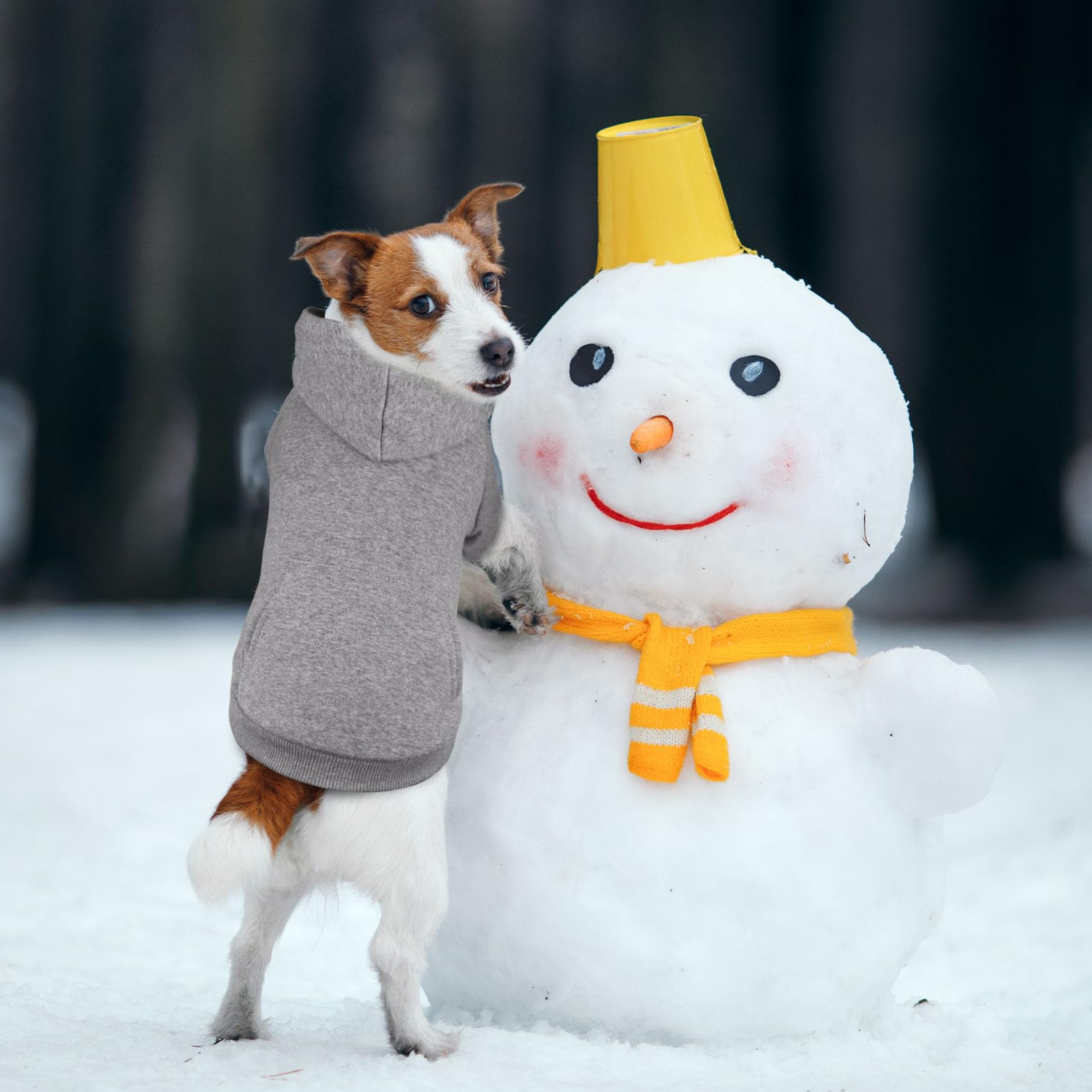 Waoduld dog sweater size chart helps you find the right fit for your dog.