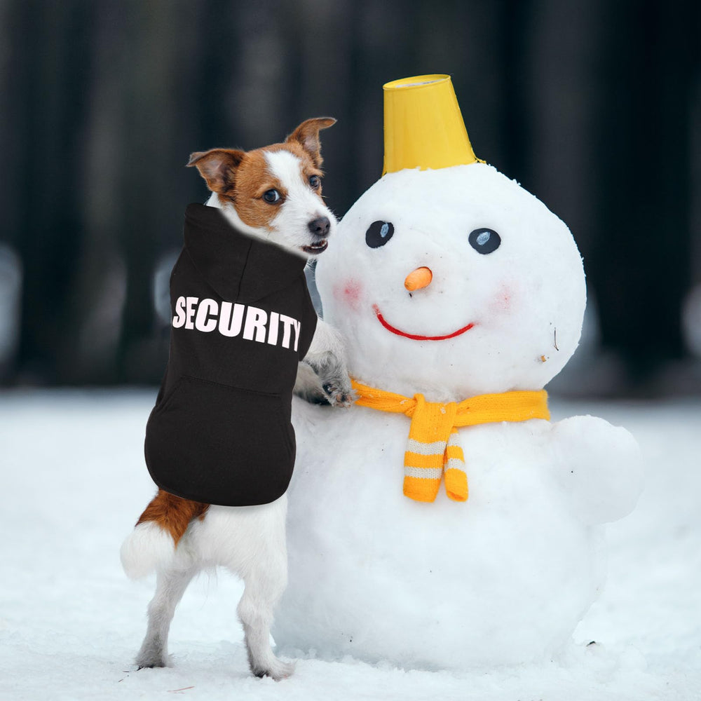 Waoduld dog sweater walk scene illustrates comfortable warmth on daily outings