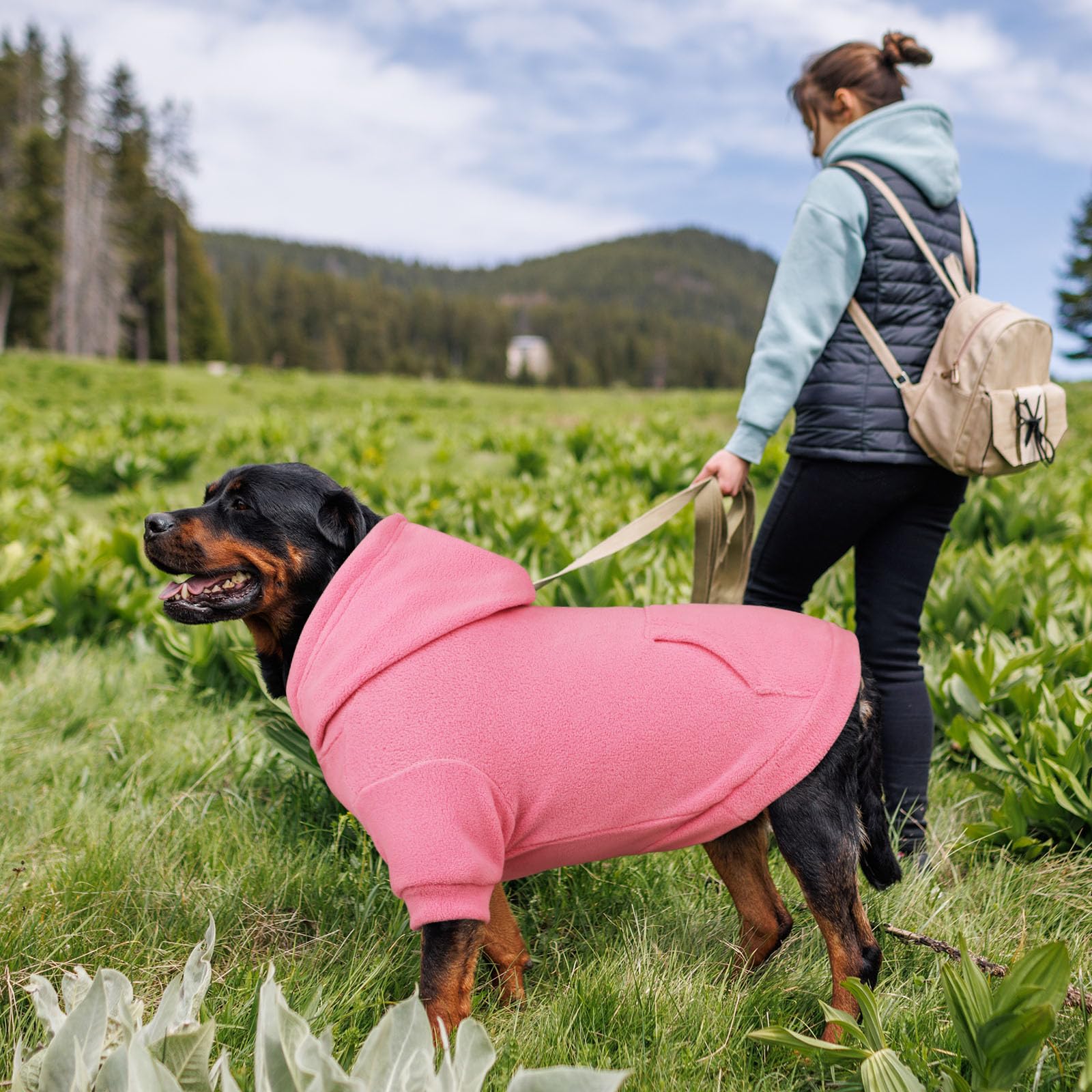 Waoduld dog hoodie pink hood closeup shows plush double-sided Oli fleece for comfort.