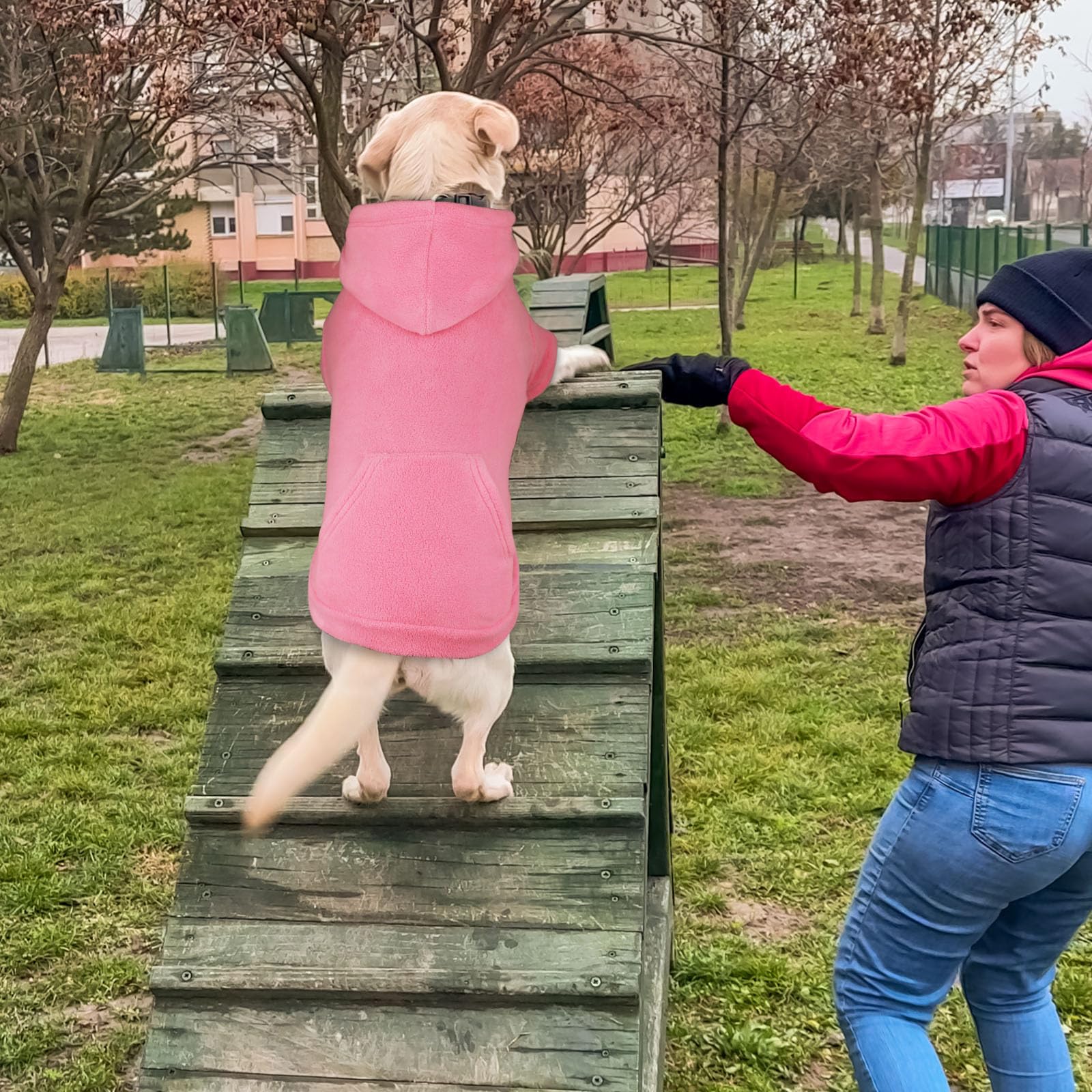 Waoduld dog hoodie pink model wearing shows stylish warmth for large dogs.