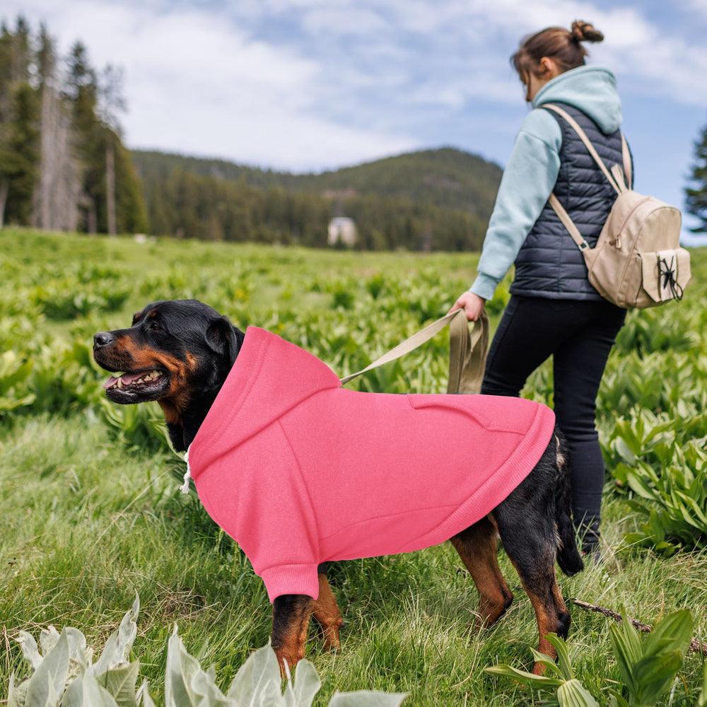 Waoduld reinforced stitching leash-hole detail emphasizes durability during adventures.
