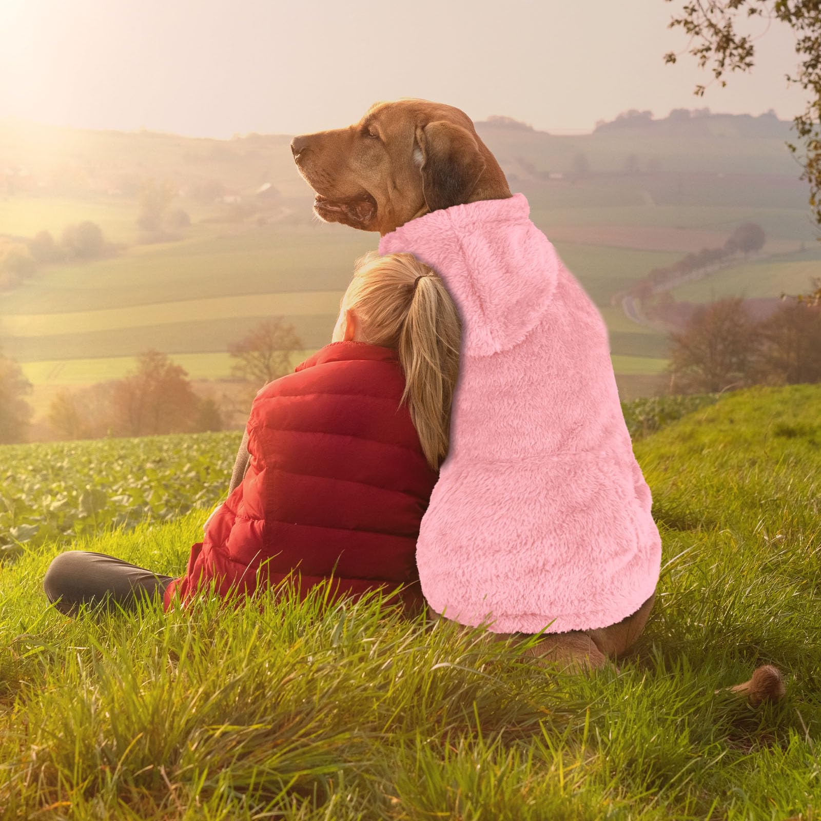 Waoduld ribbed cuffs hem dog sweater enhances snug fit and warmth.
